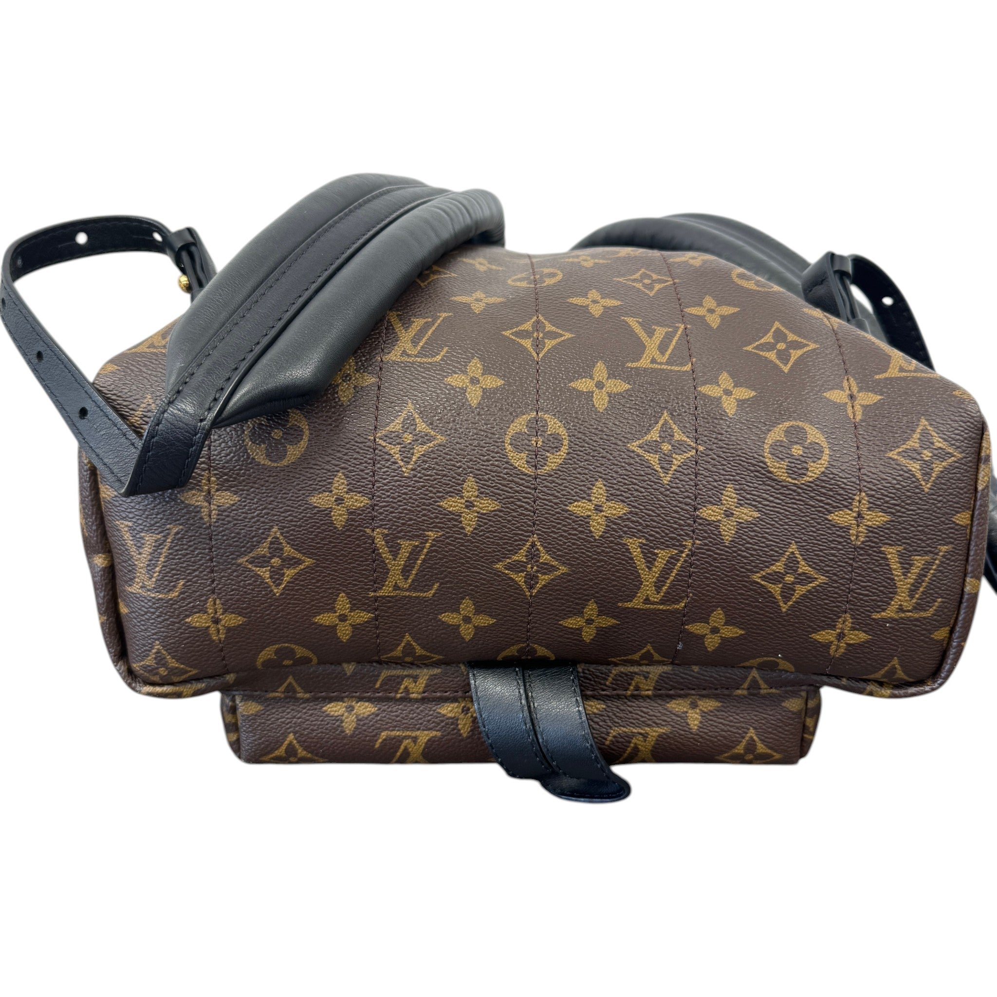 Women's Monogram Palm Springs Mm Backpack Brown