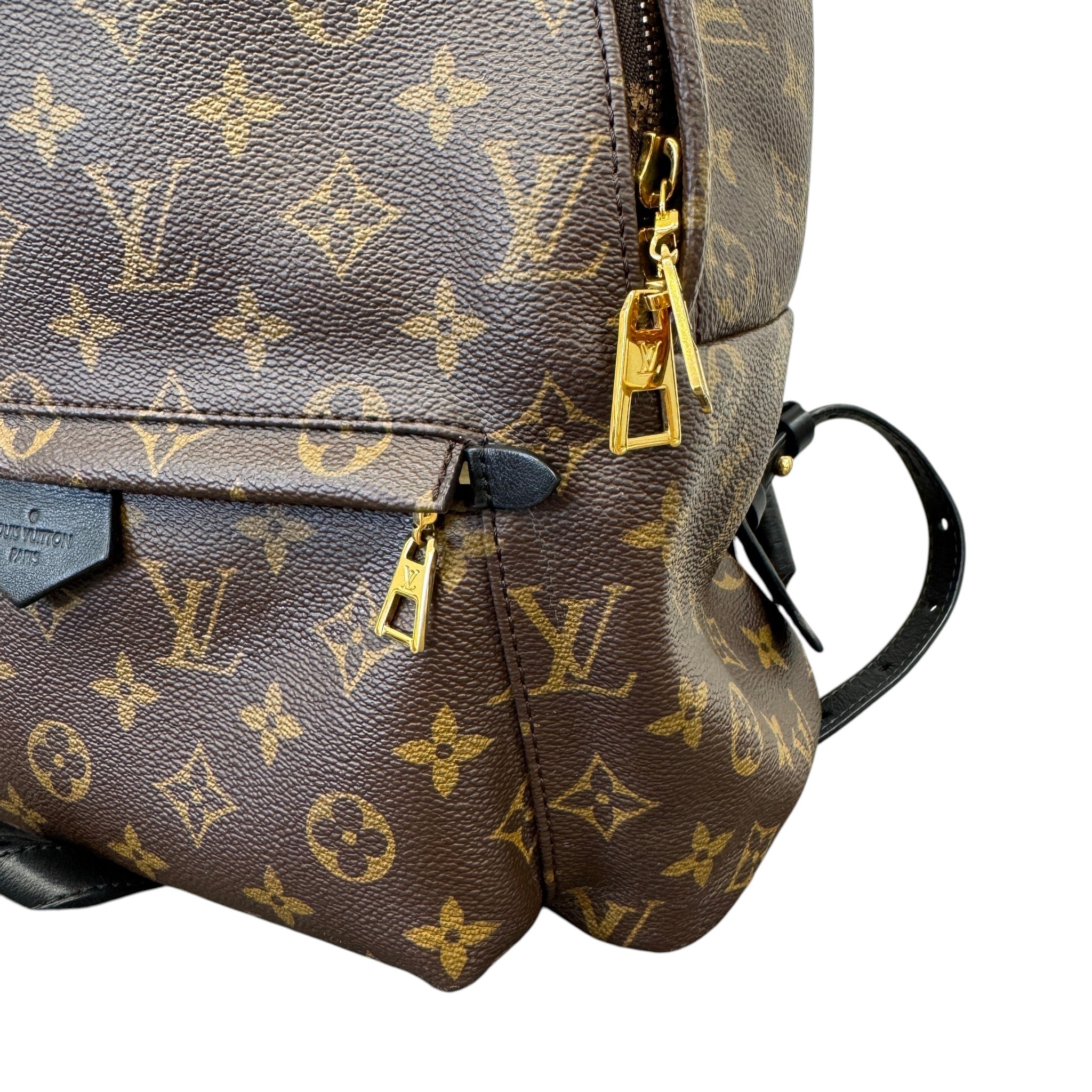 Women's Monogram Palm Springs Mm Backpack Brown