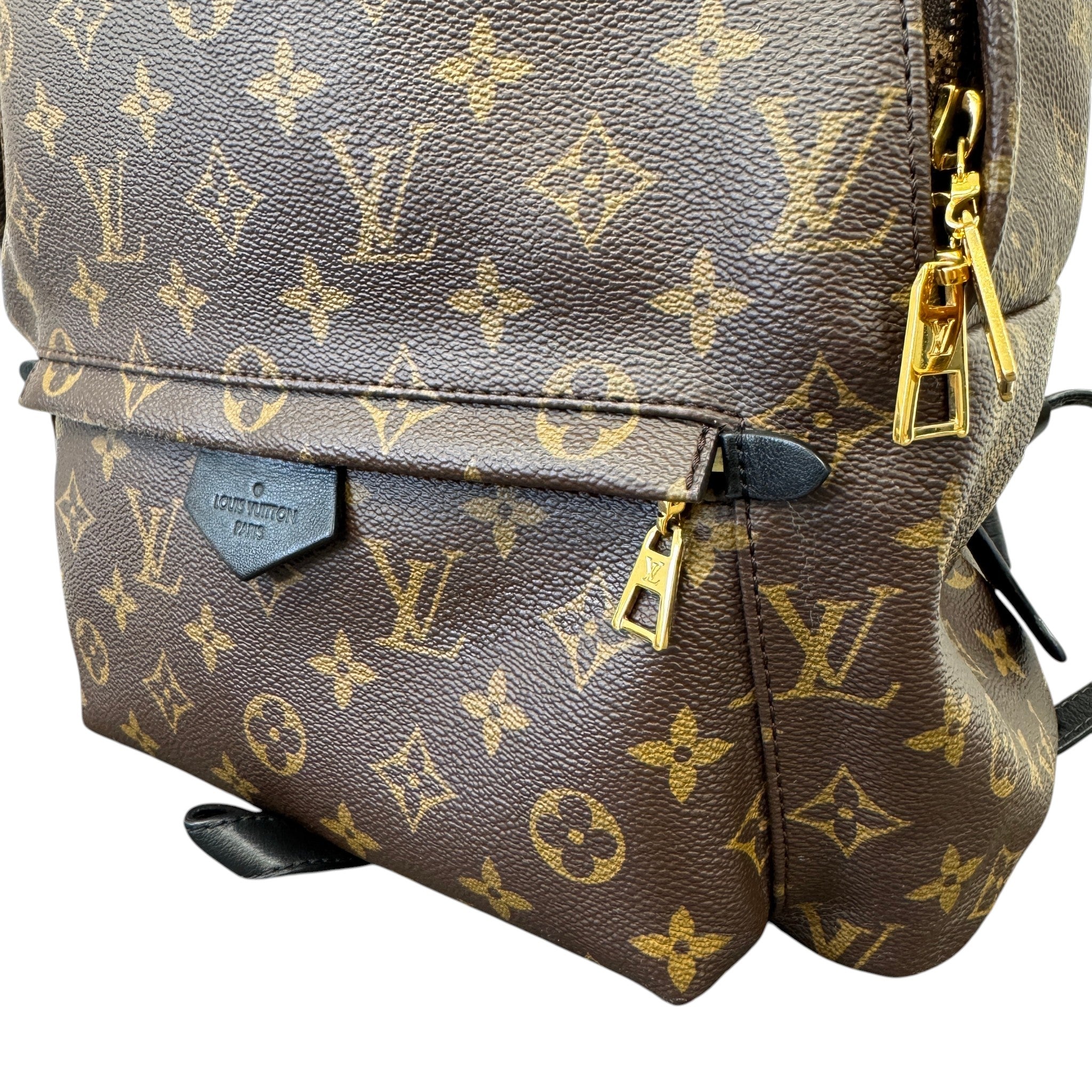 Women's Monogram Palm Springs Mm Backpack Brown