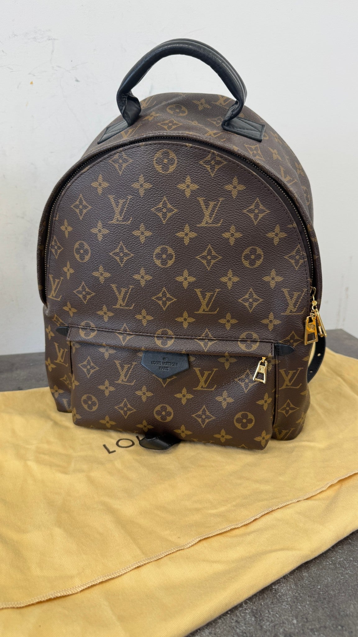 Women's Monogram Palm Springs Mm Backpack Brown