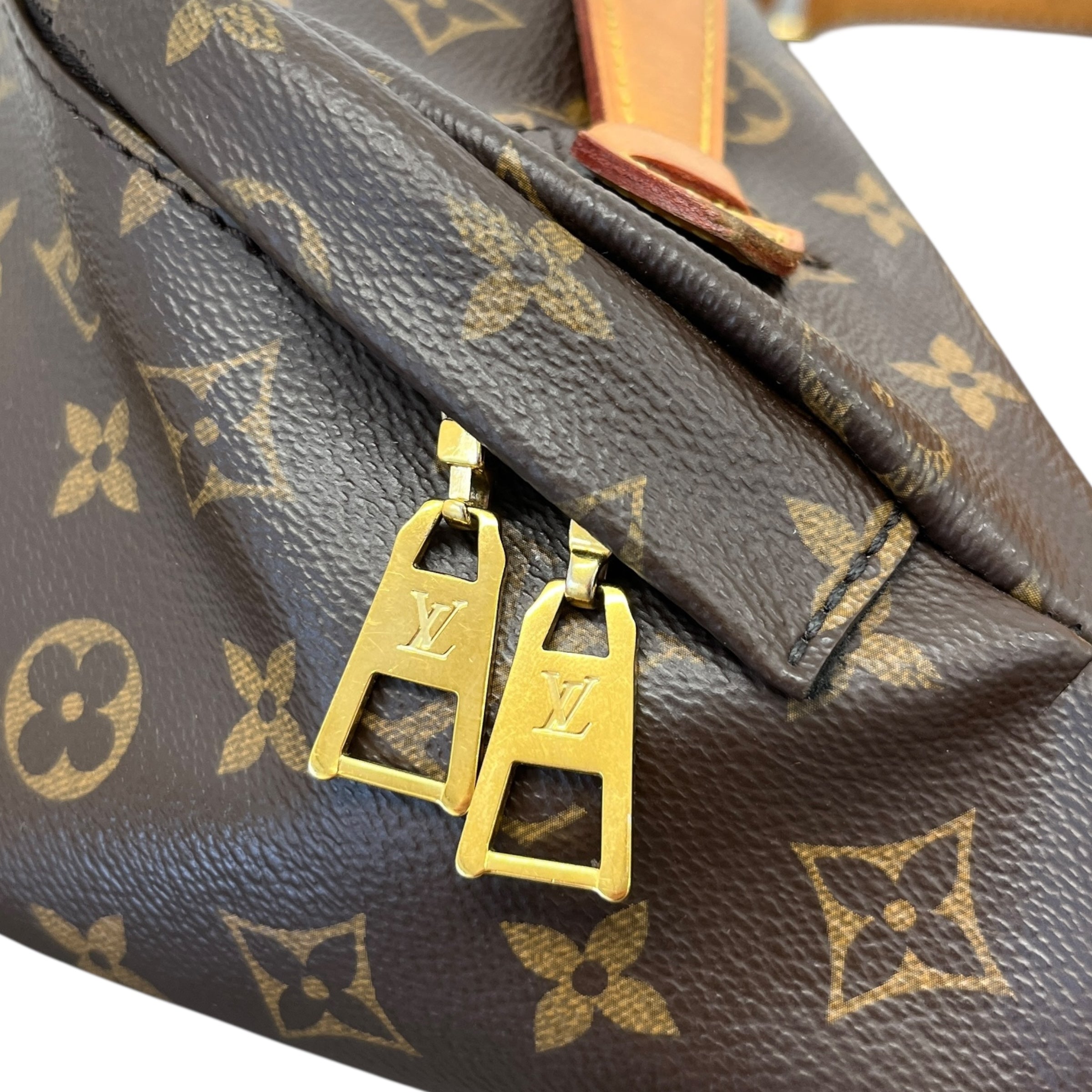 Women's Monogram Canvas Belt Bag Brown