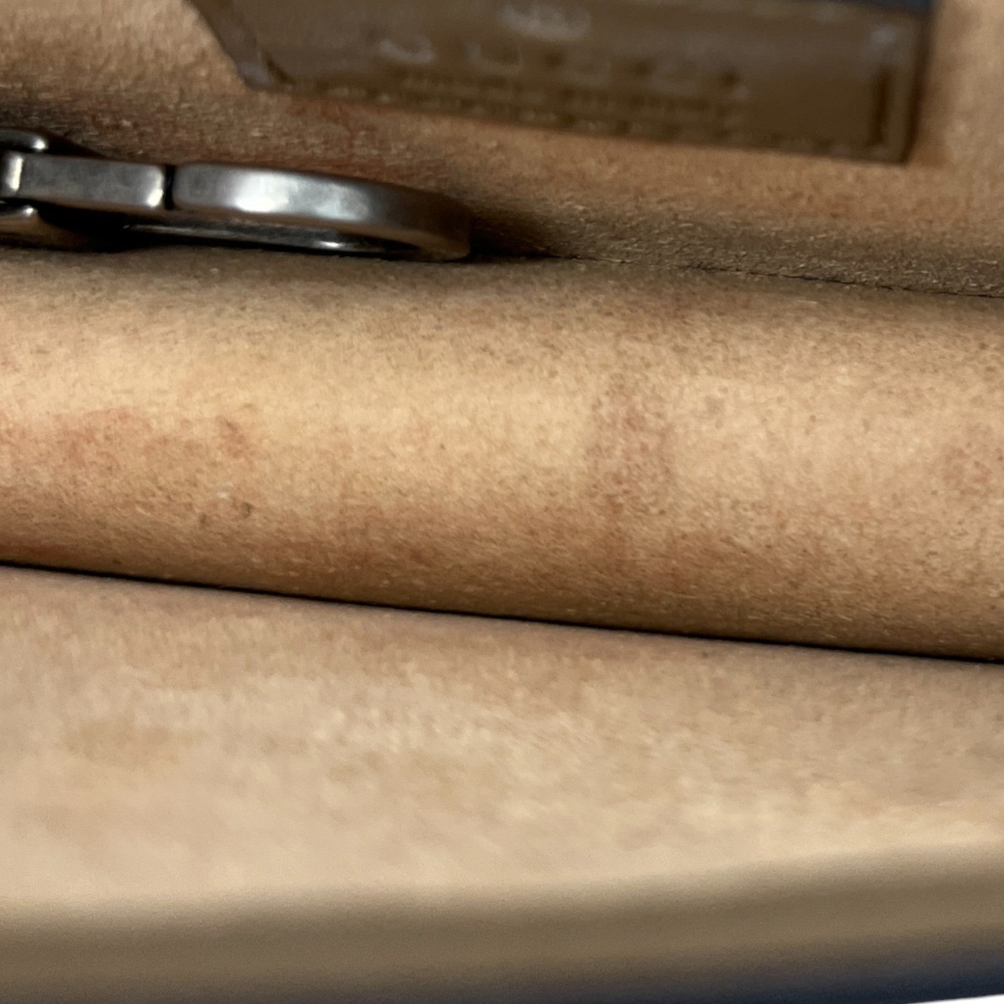 Women's Gg Supreme Dionysus Mini Bag Brown