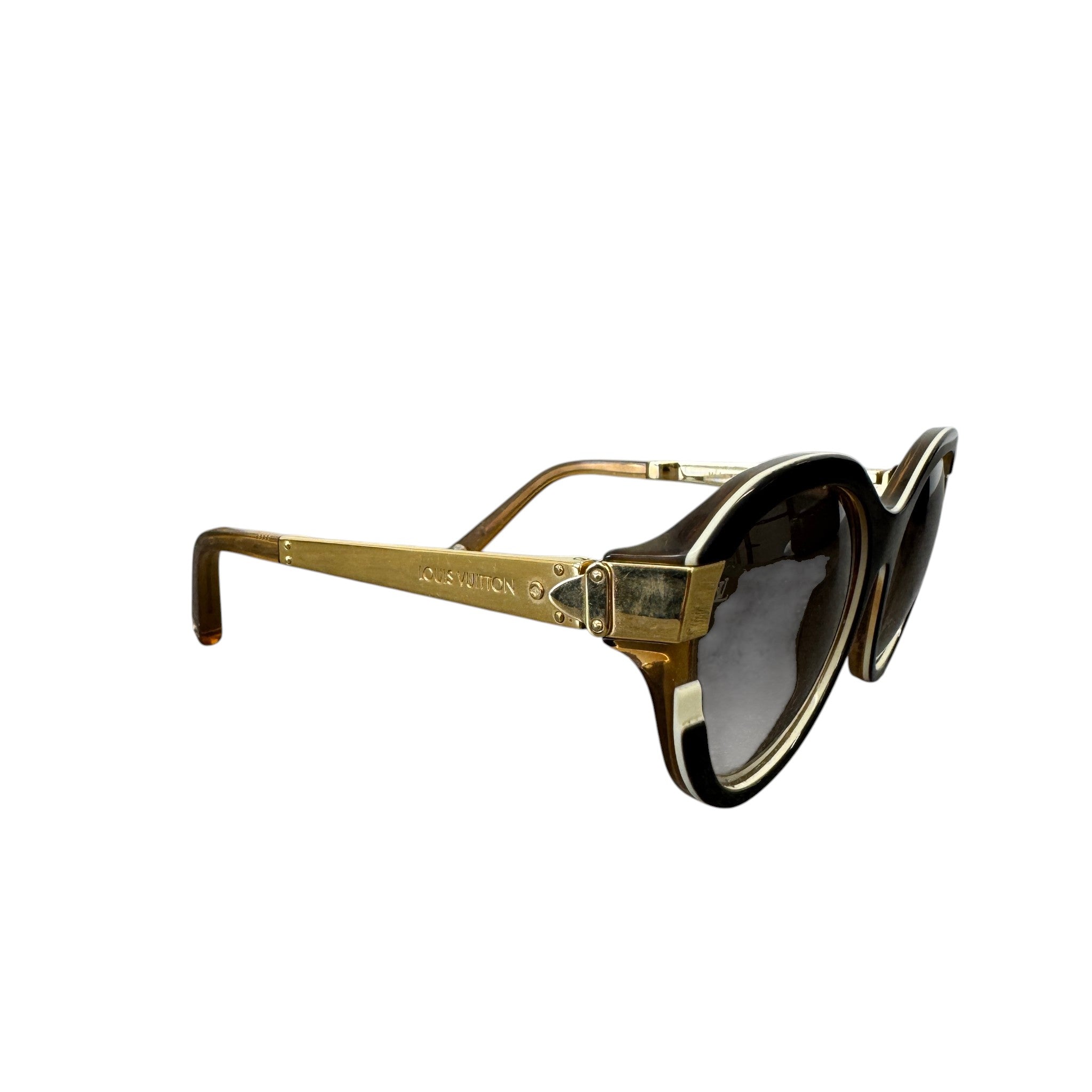 Women's Z0487W Sunglasses Brown