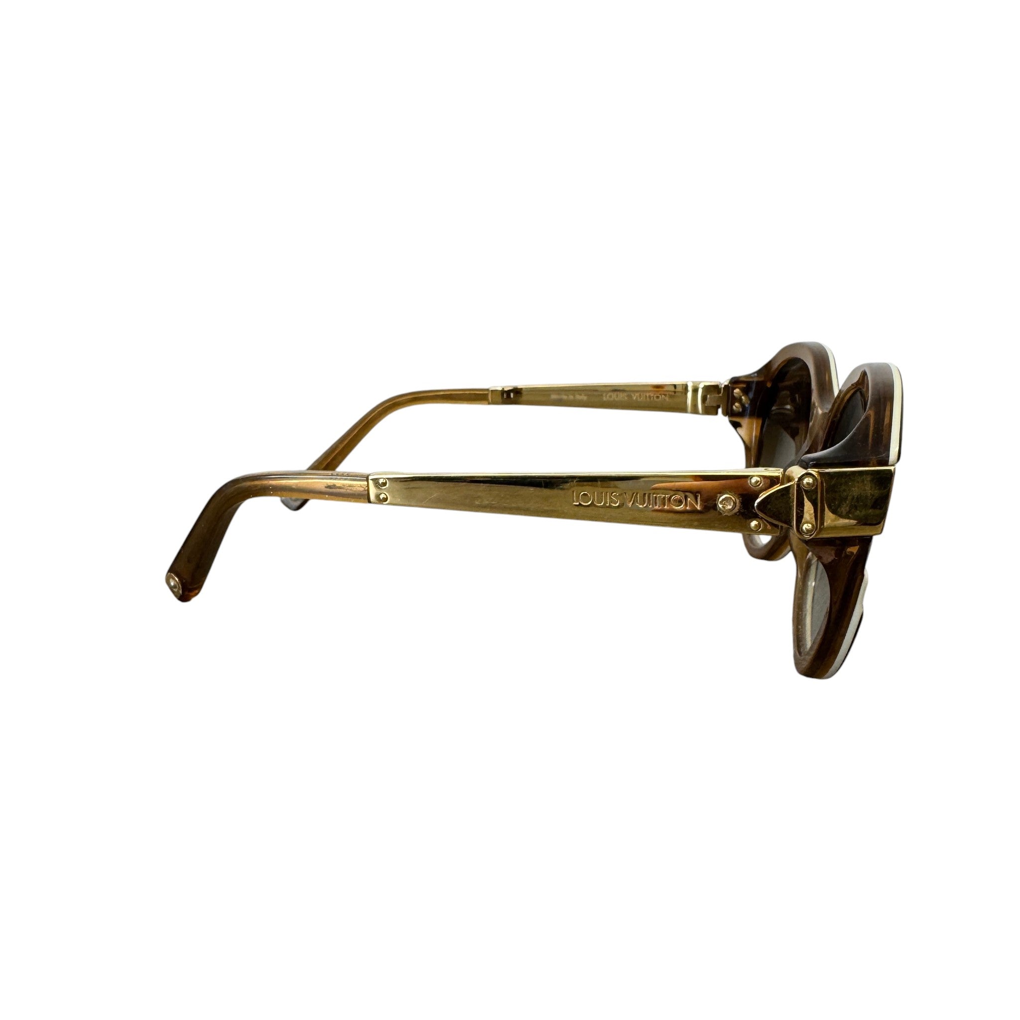 Women's Z0487W Sunglasses Brown