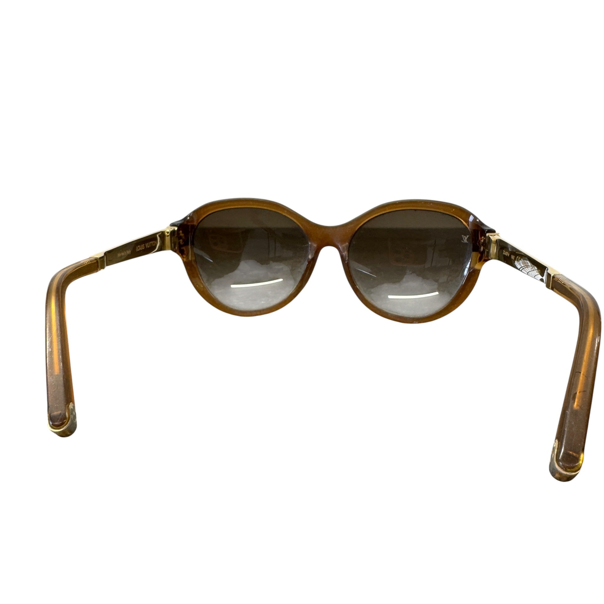 Women's Z0487W Sunglasses Brown