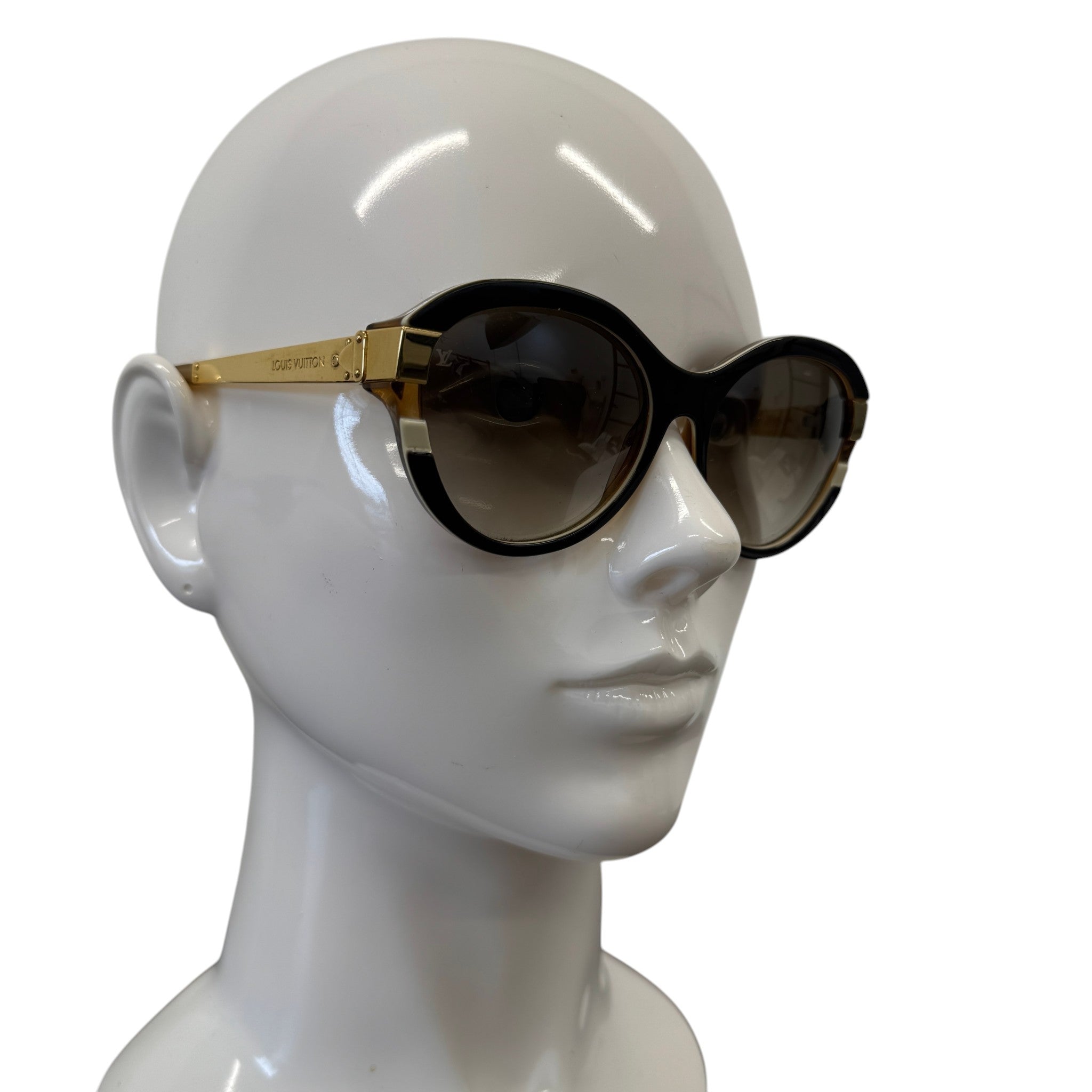 Women's Z0487W Sunglasses Brown