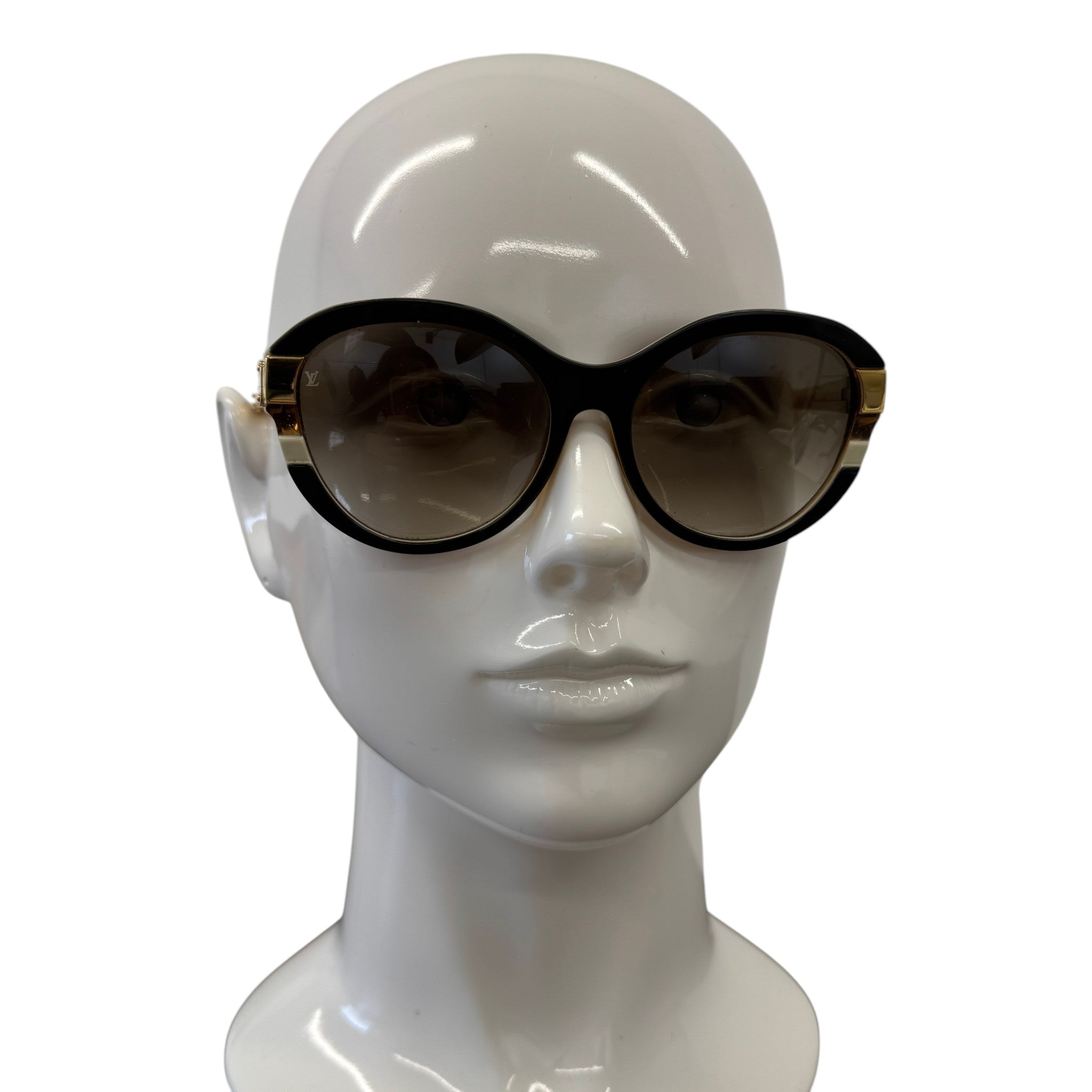 Women's Z0487W Sunglasses Brown
