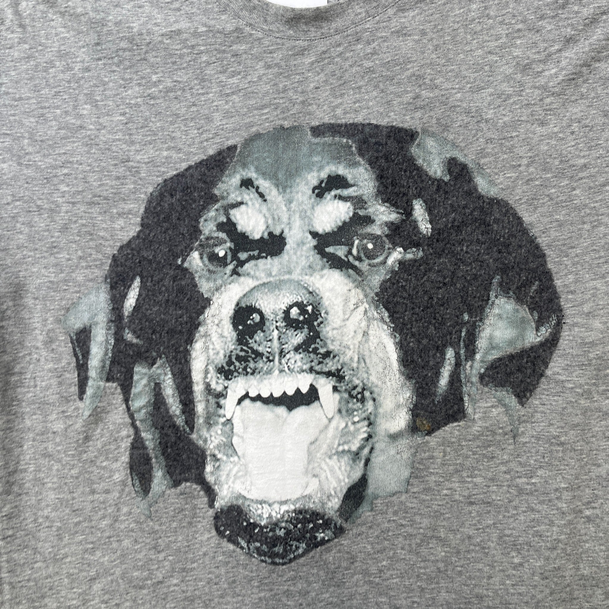 Men's Rottweiler Print T-Shirt Grey Size XXL