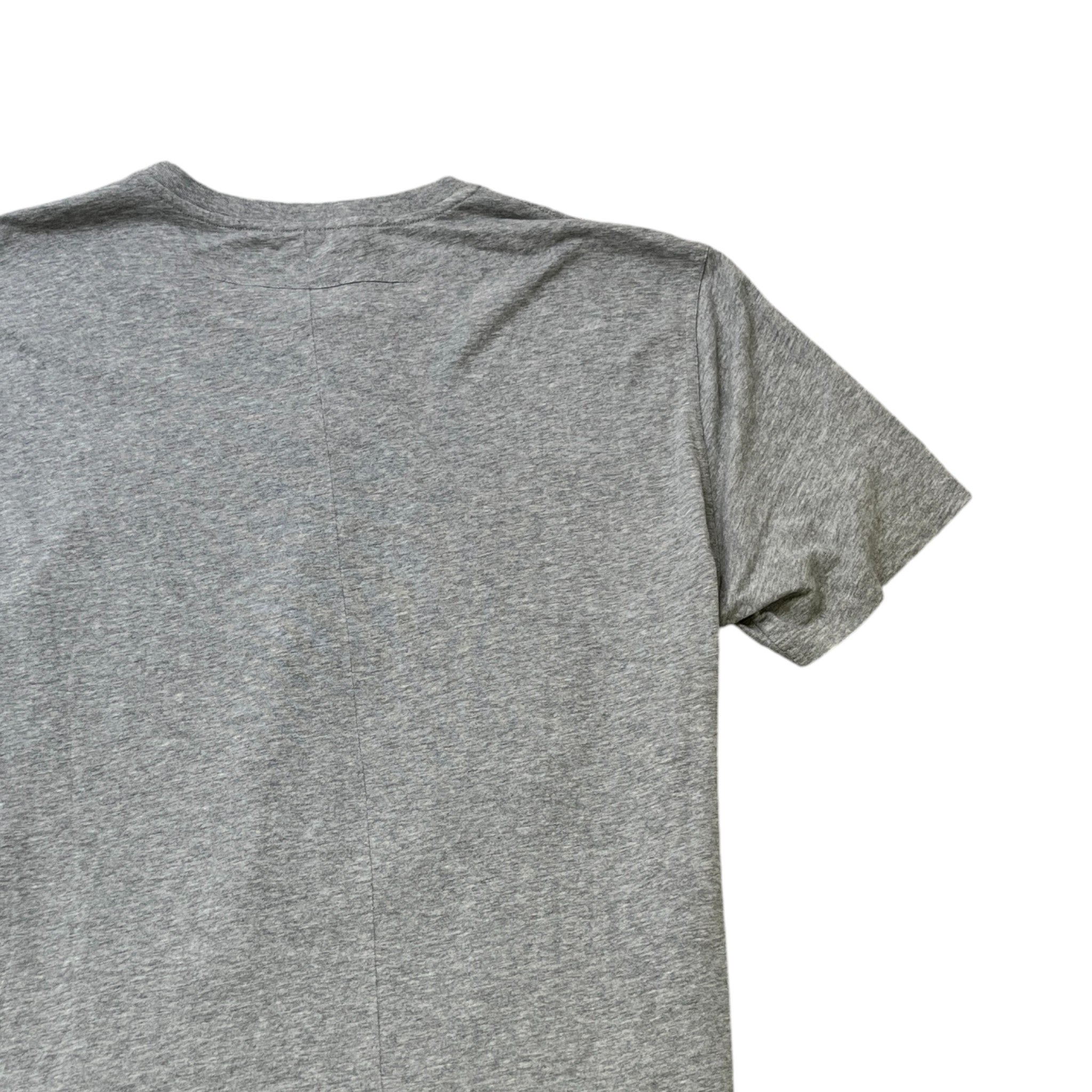 Men's Rottweiler Print T-Shirt Grey Size XXL