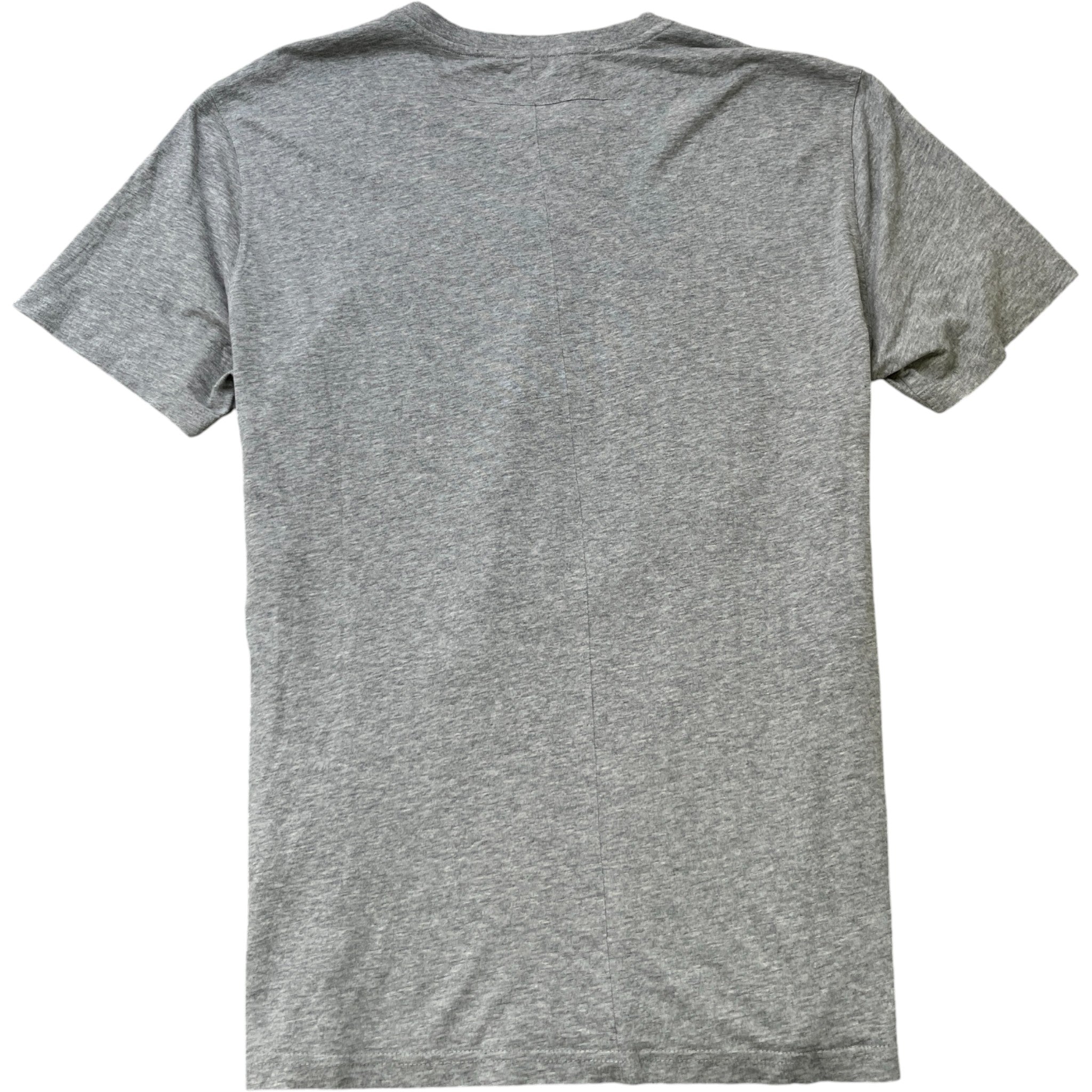 Men's Rottweiler Print T-Shirt Grey Size XXL