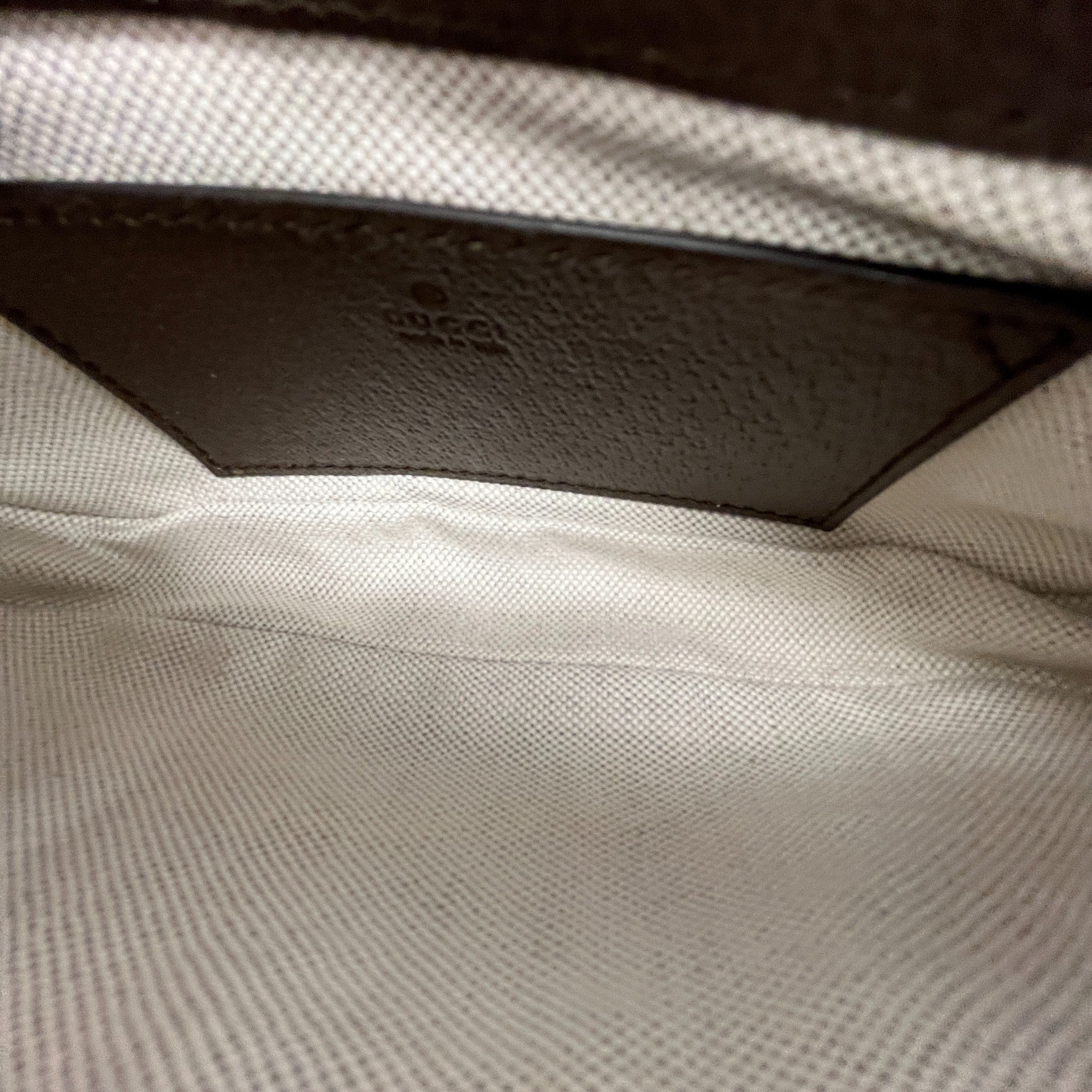 Women's Ophidia Mini Bag Brown