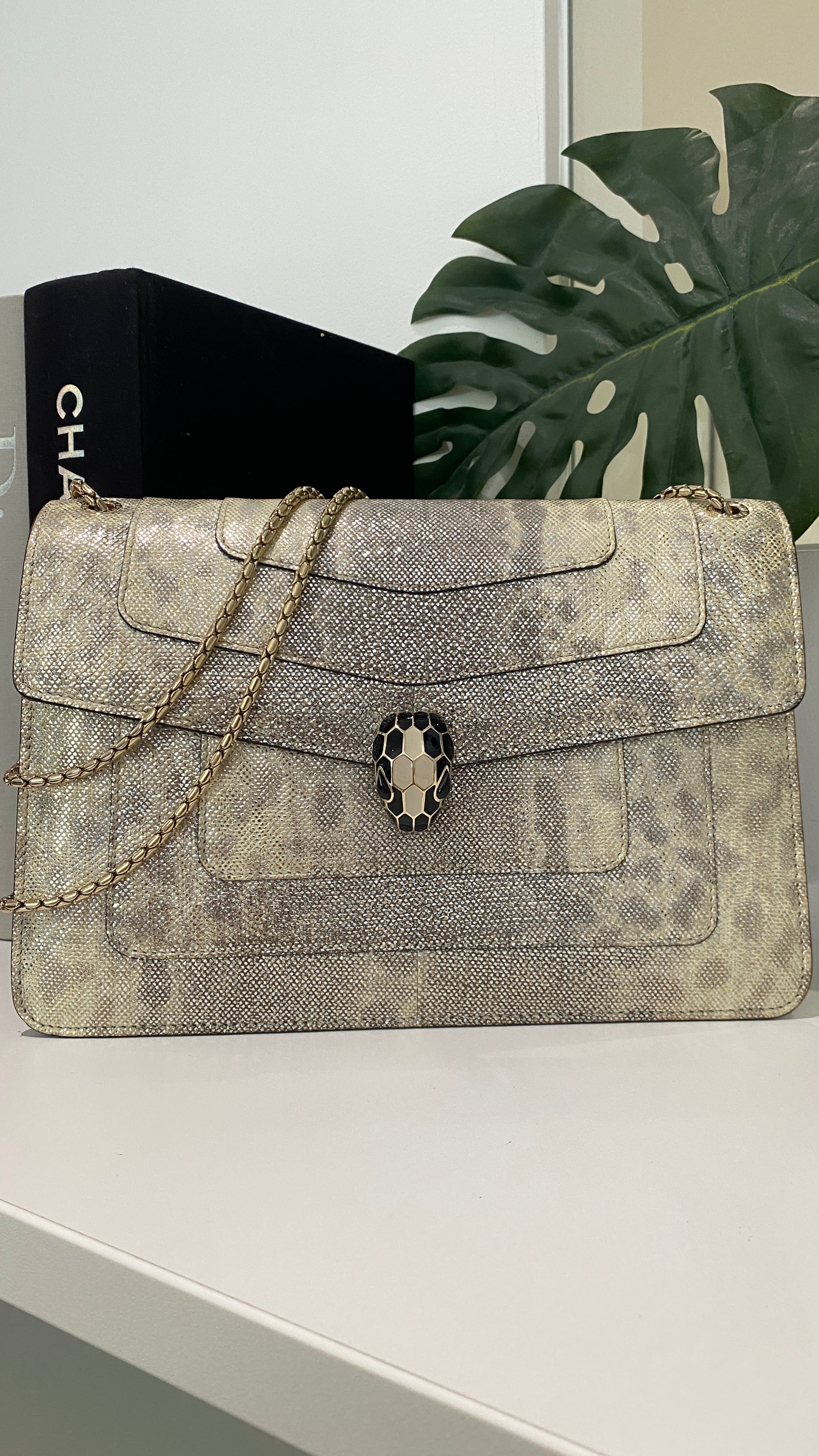 Women's Karung Serpenti Forever Bag Gold