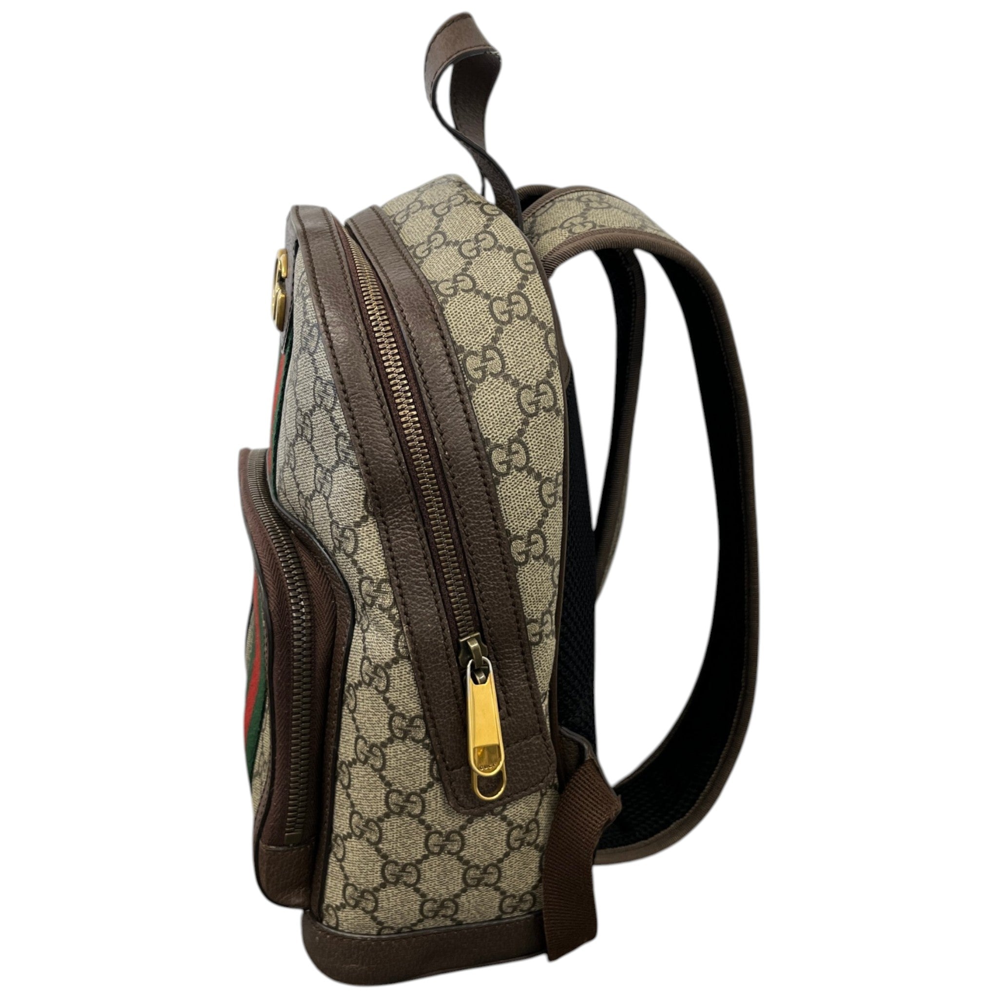 Women's Small Ophidia Backpack Brown