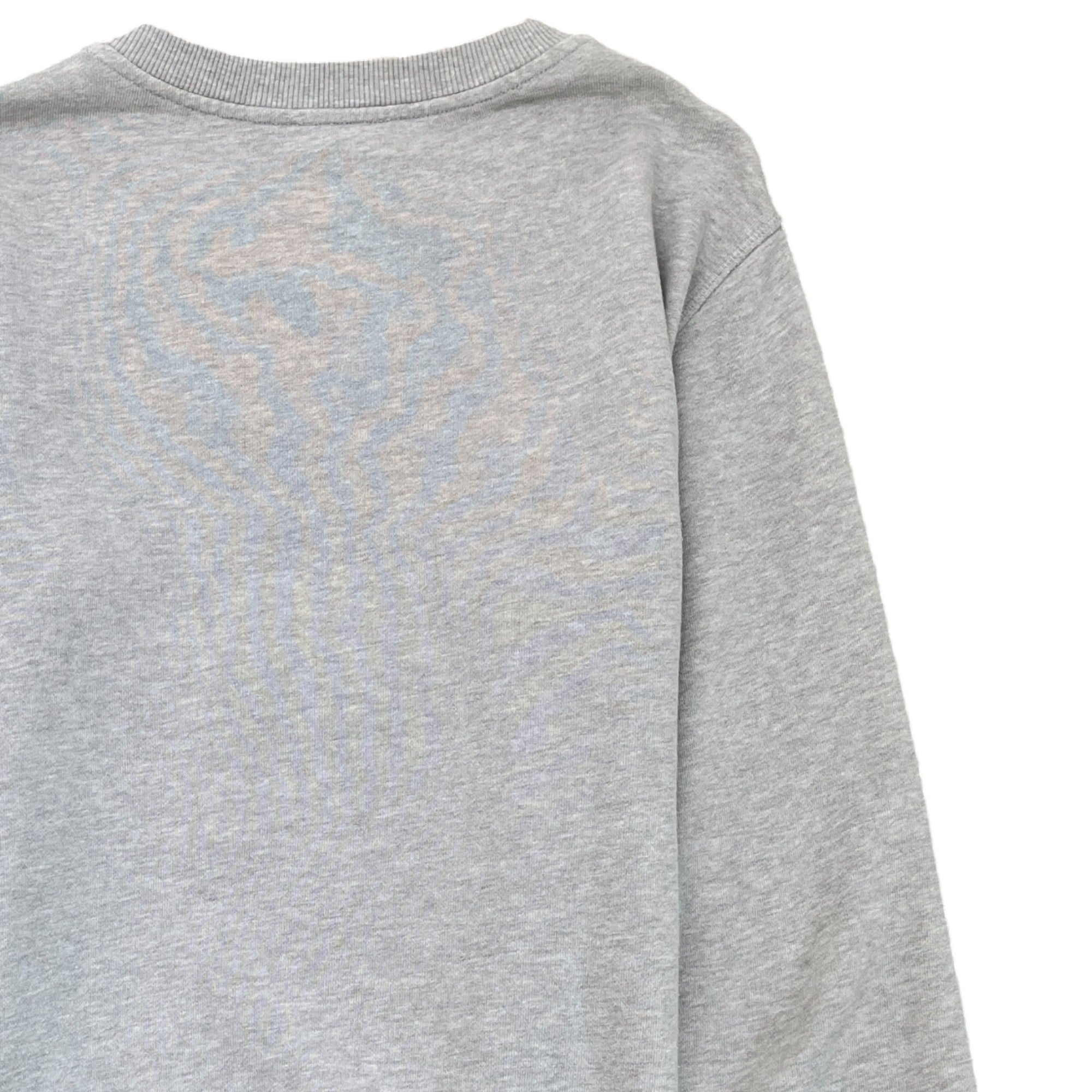 Men's Tiger Print Sweatshirt Grey Size 16Y