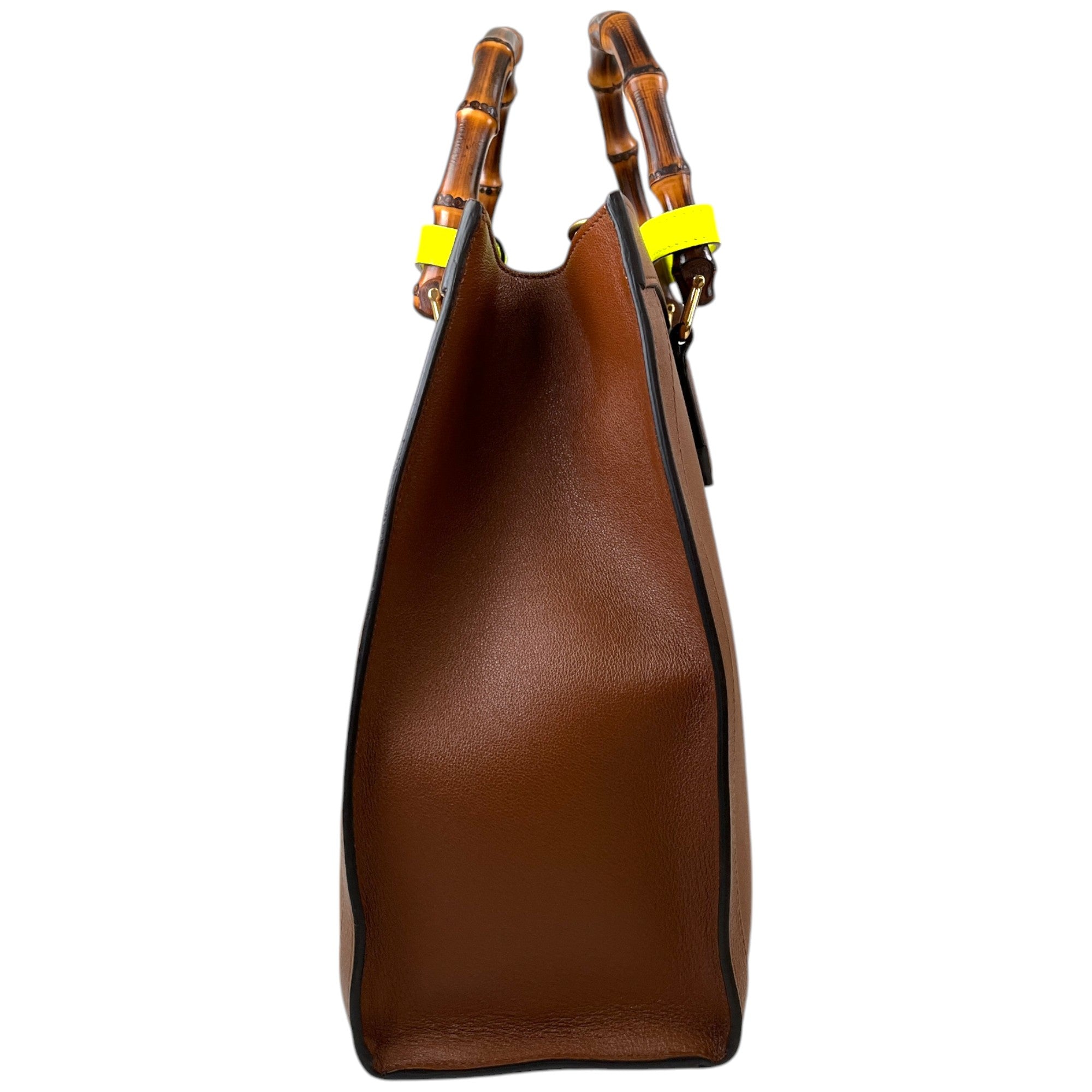 Women's Diana Medium Tote Bag Brown