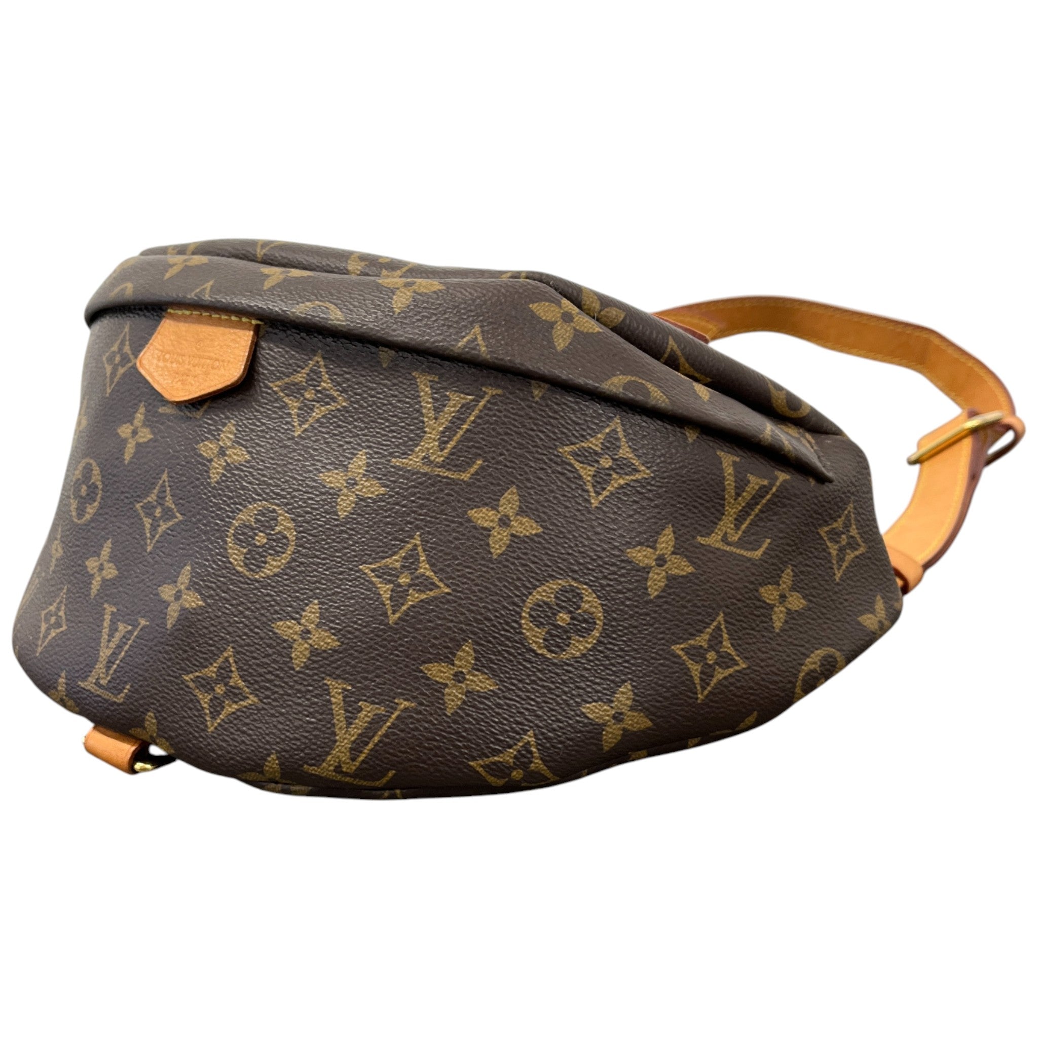 Women's Monogram Sac Ceinture Bag Brown