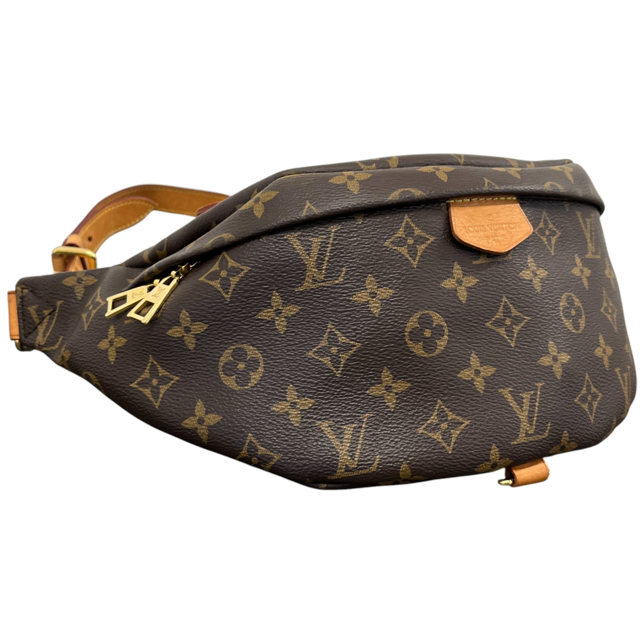 Women's Monogram Sac Ceinture Bag Brown