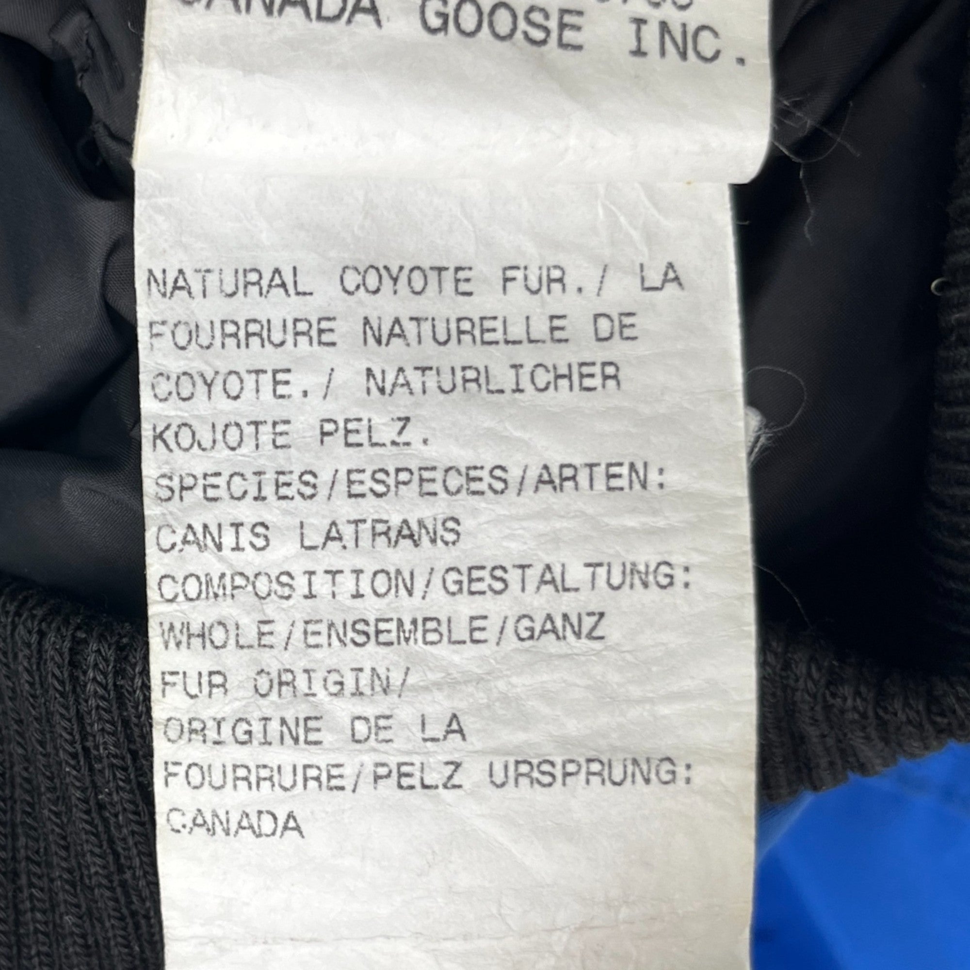 Women's Chilliwack Bomber Kids Xl Down Jacket Blue Size Age 14