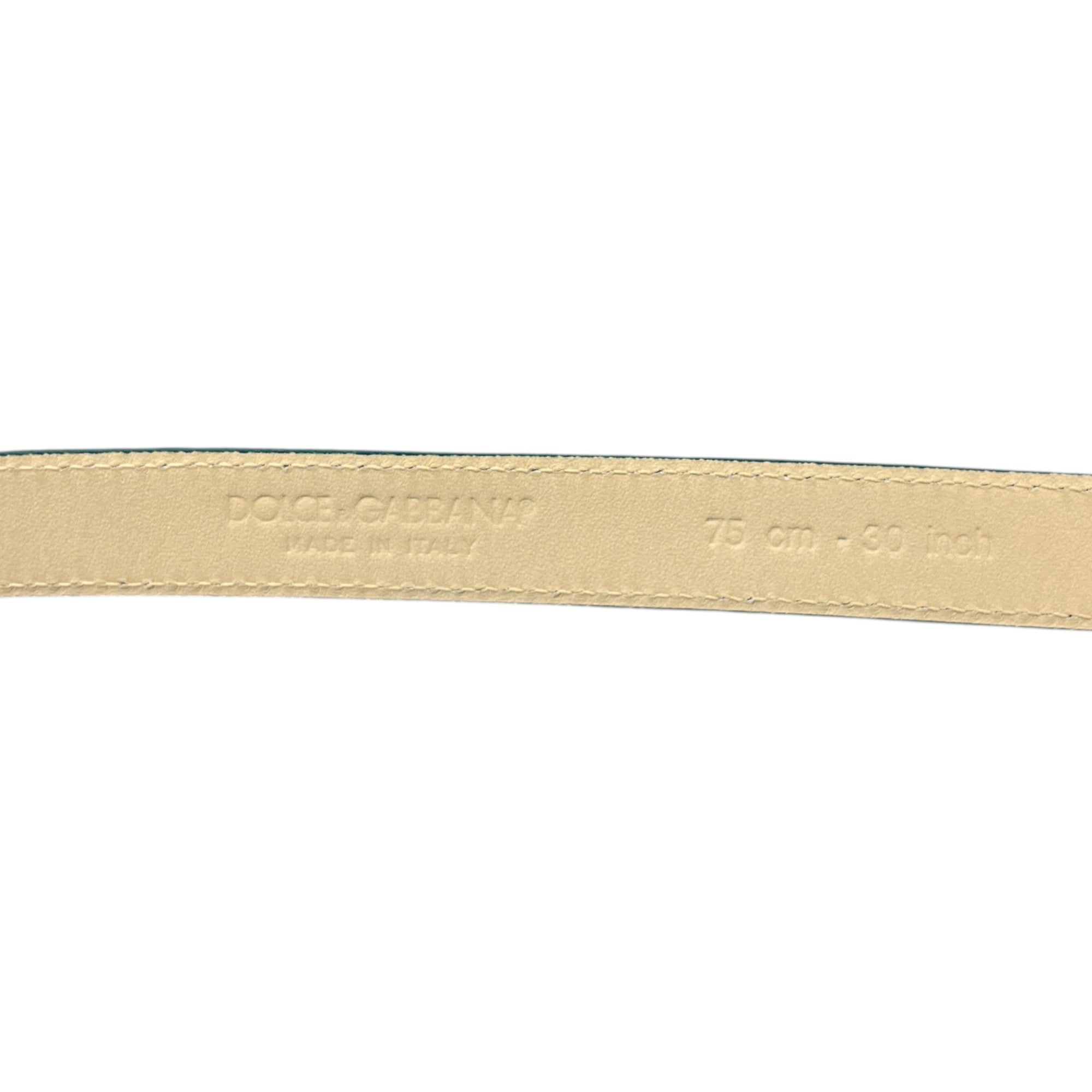 Women's Snake Skin Thin Belt Blue Size Waist 30"