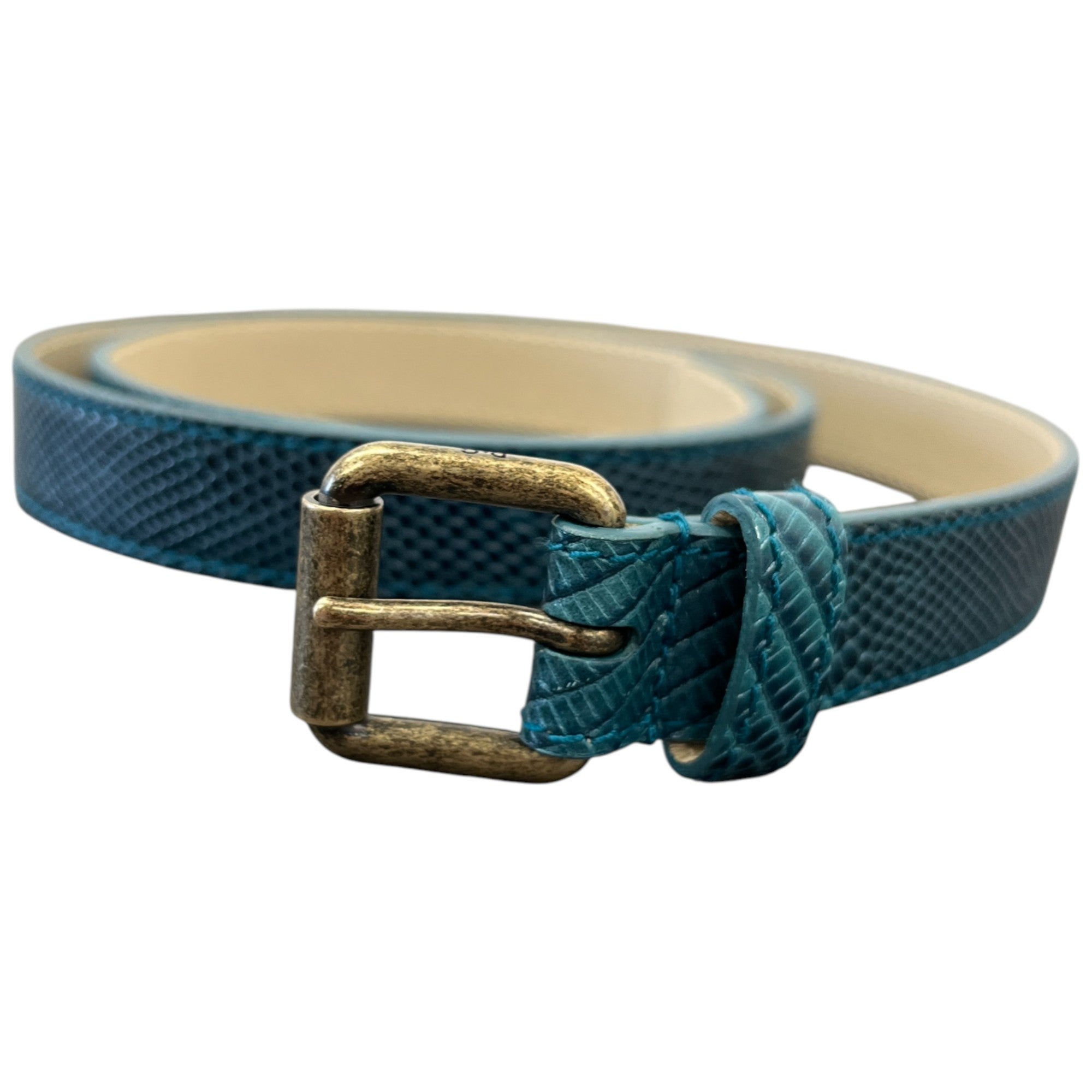 Women's Snake Skin Thin Belt Blue Size Waist 30"