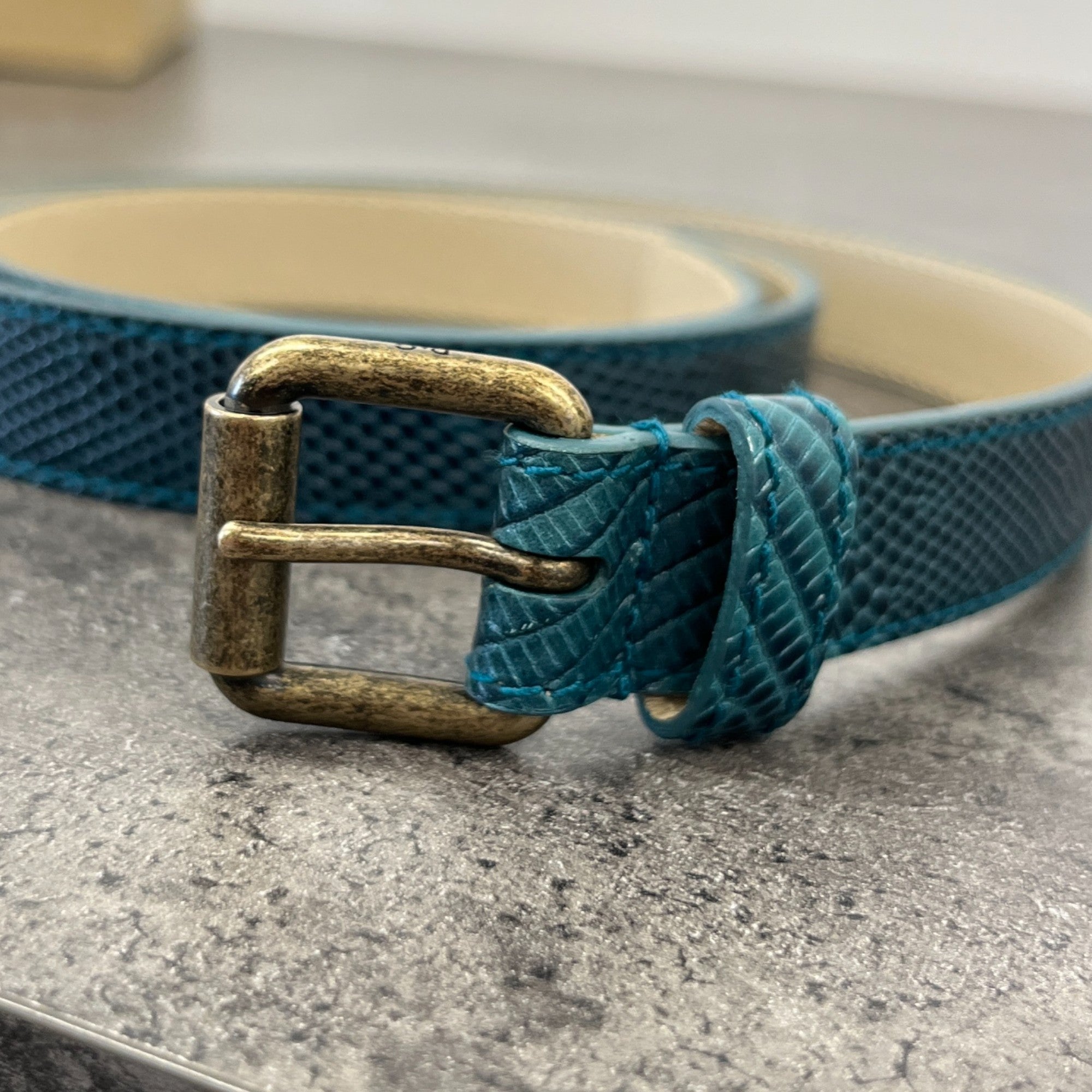 Women's Snake Skin Thin Belt Blue Size Waist 30"