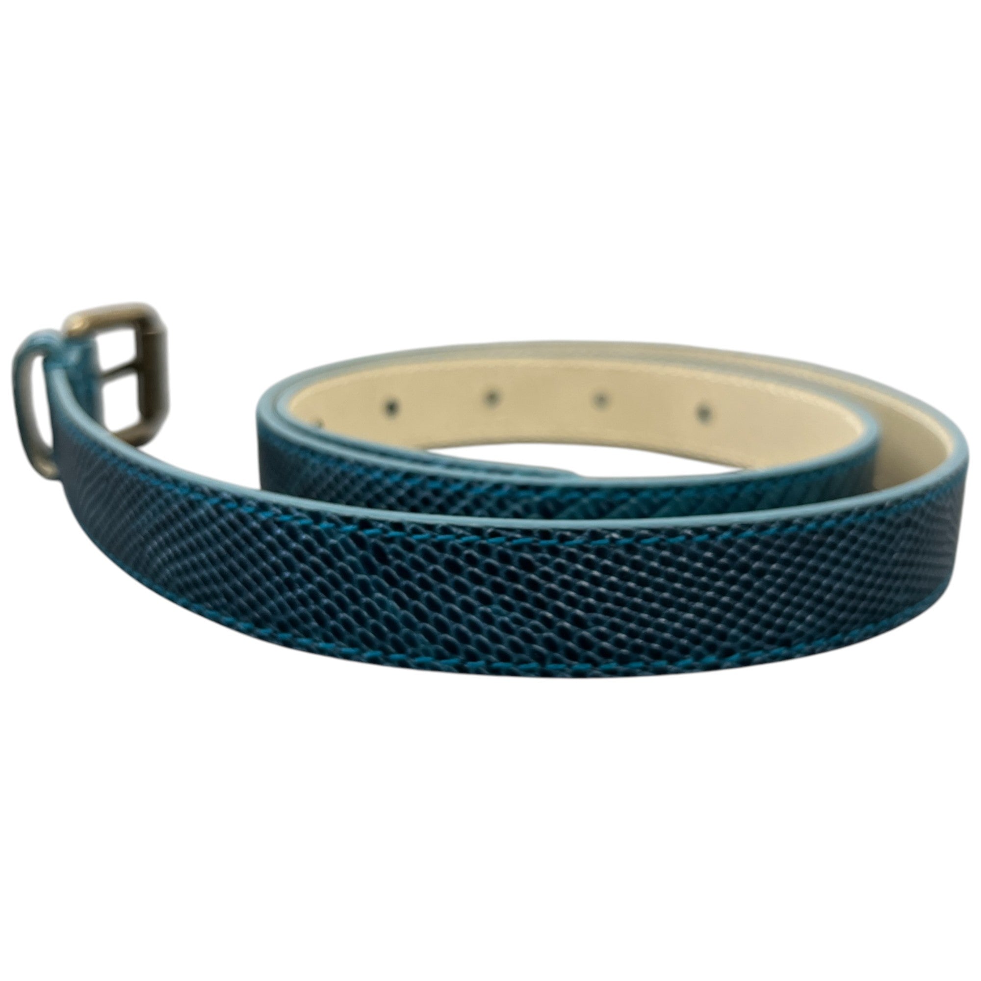 Women's Snake Skin Thin Belt Blue Size Waist 30"