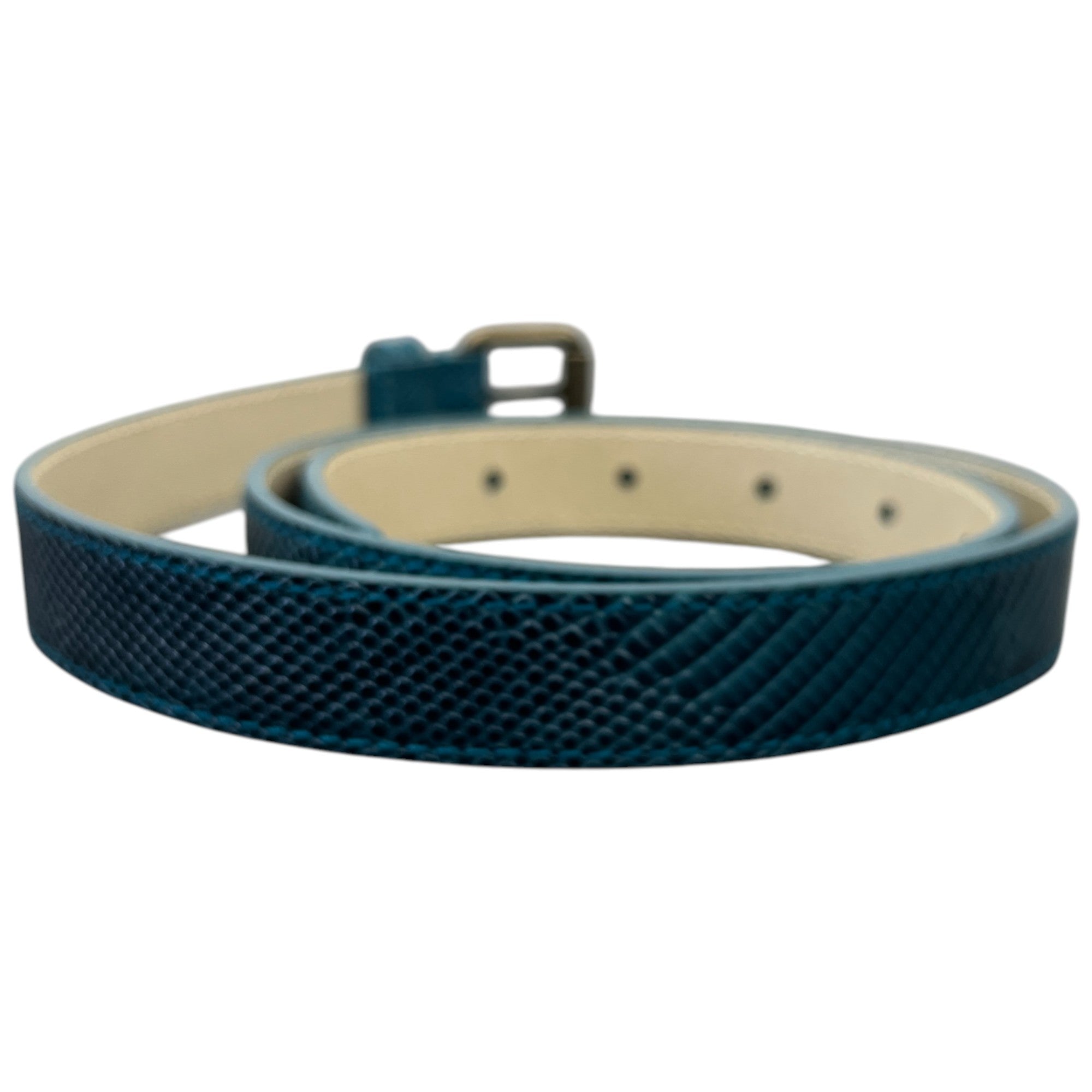 Women's Snake Skin Thin Belt Blue Size Waist 30"