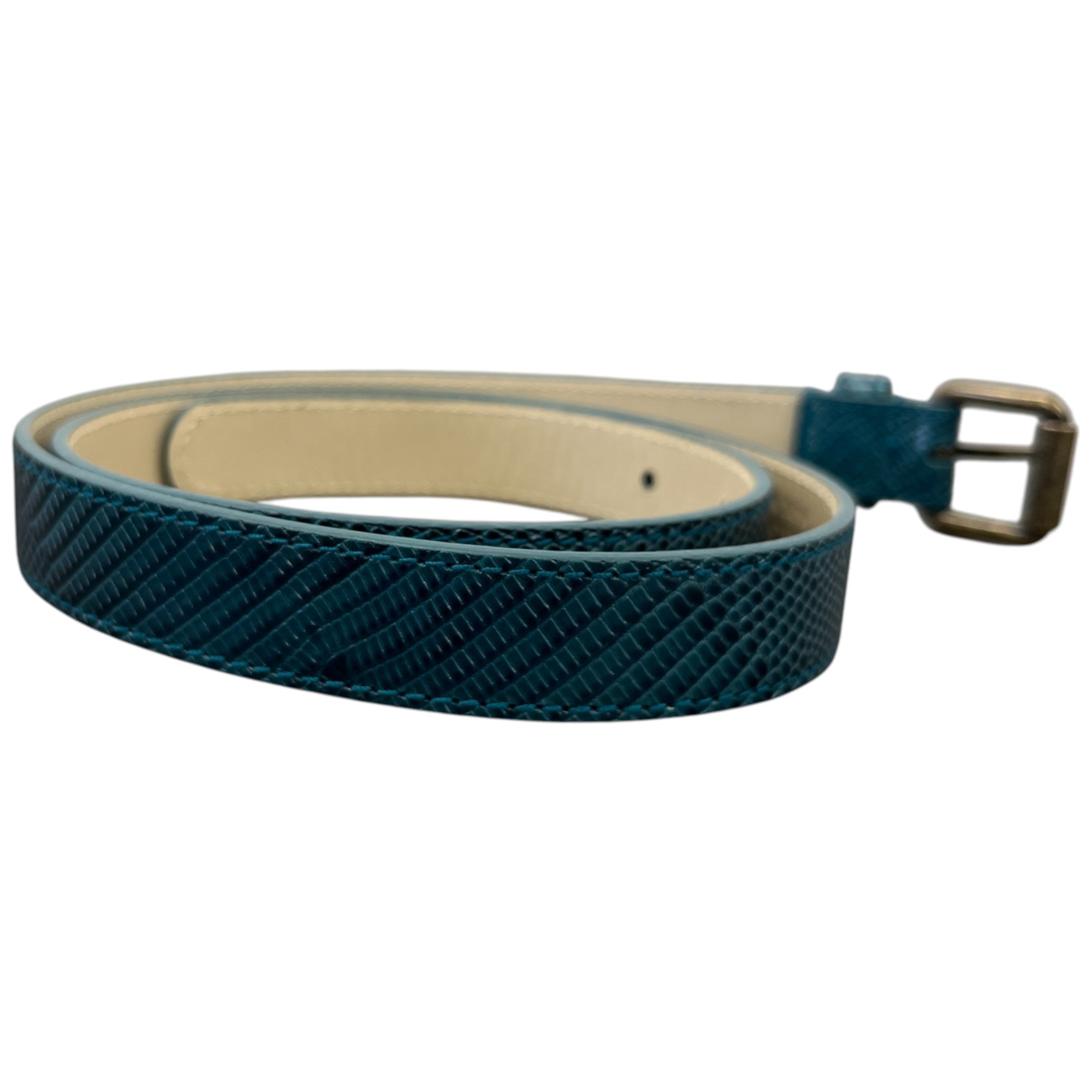 Women's Snake Skin Thin Belt Blue Size Waist 30"