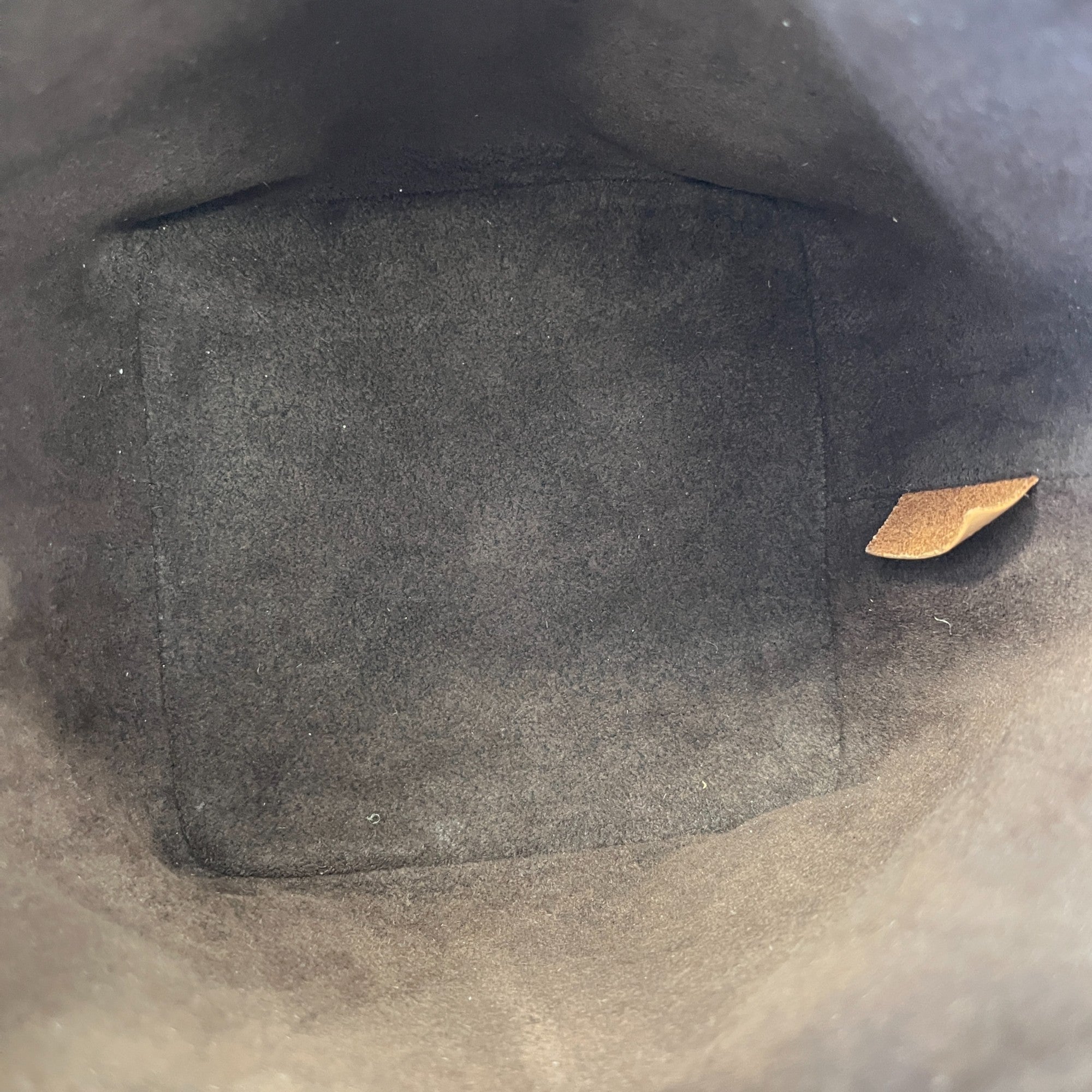 Women's Mini Monogram Noe Bag Brown