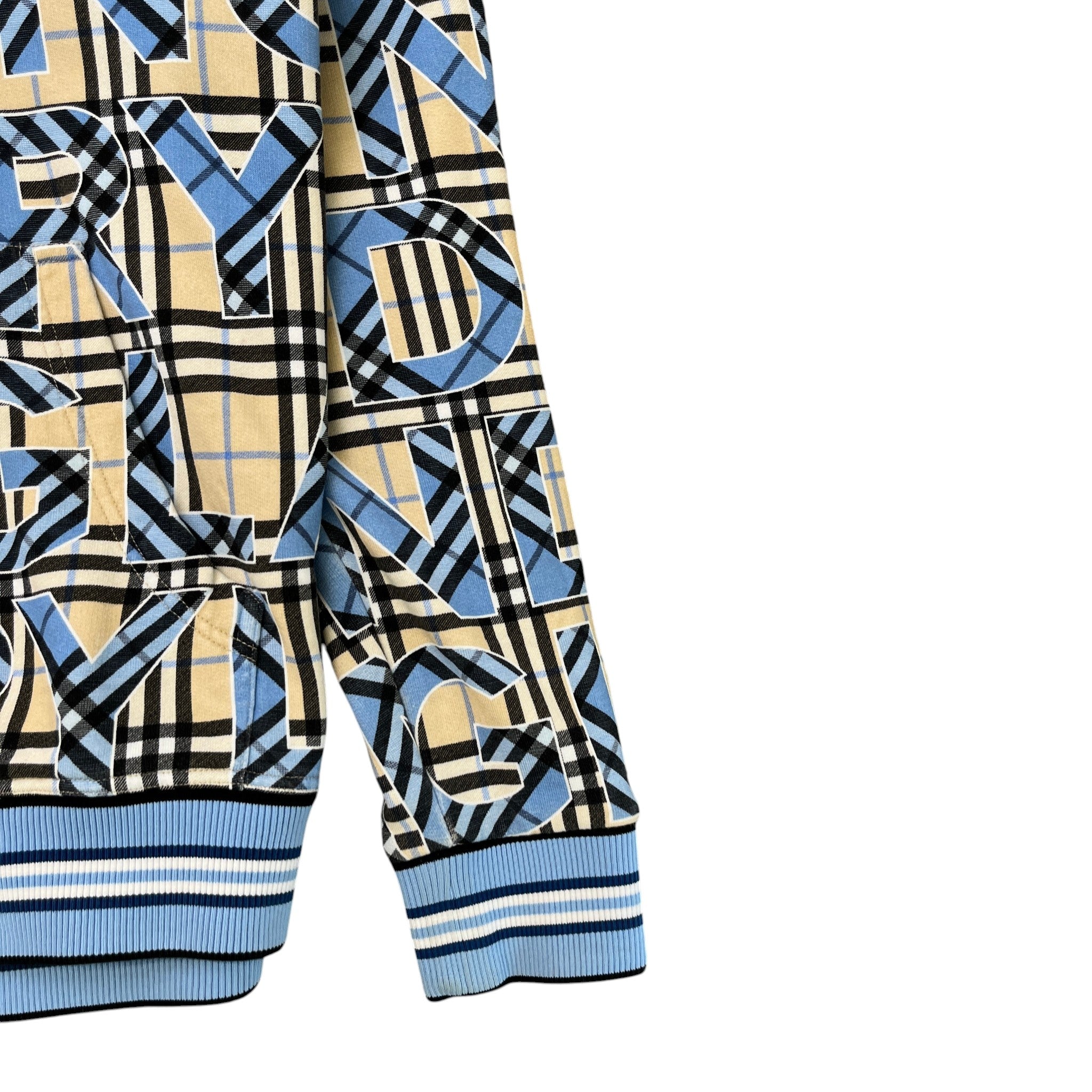 Men's Vintage Check Logo Print Hoodie Blue Size M