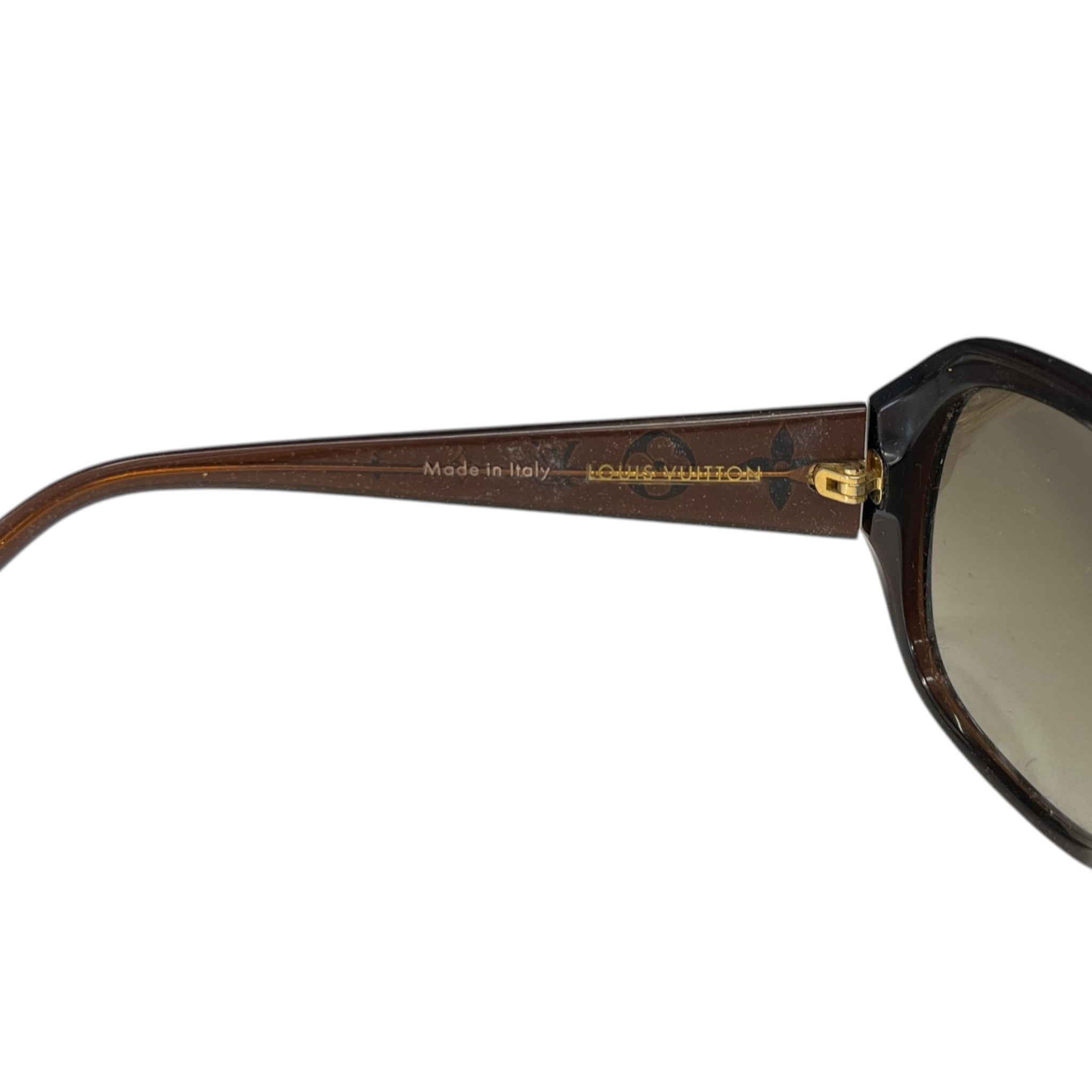 Women's Obsession Gm Sunglasses Brown