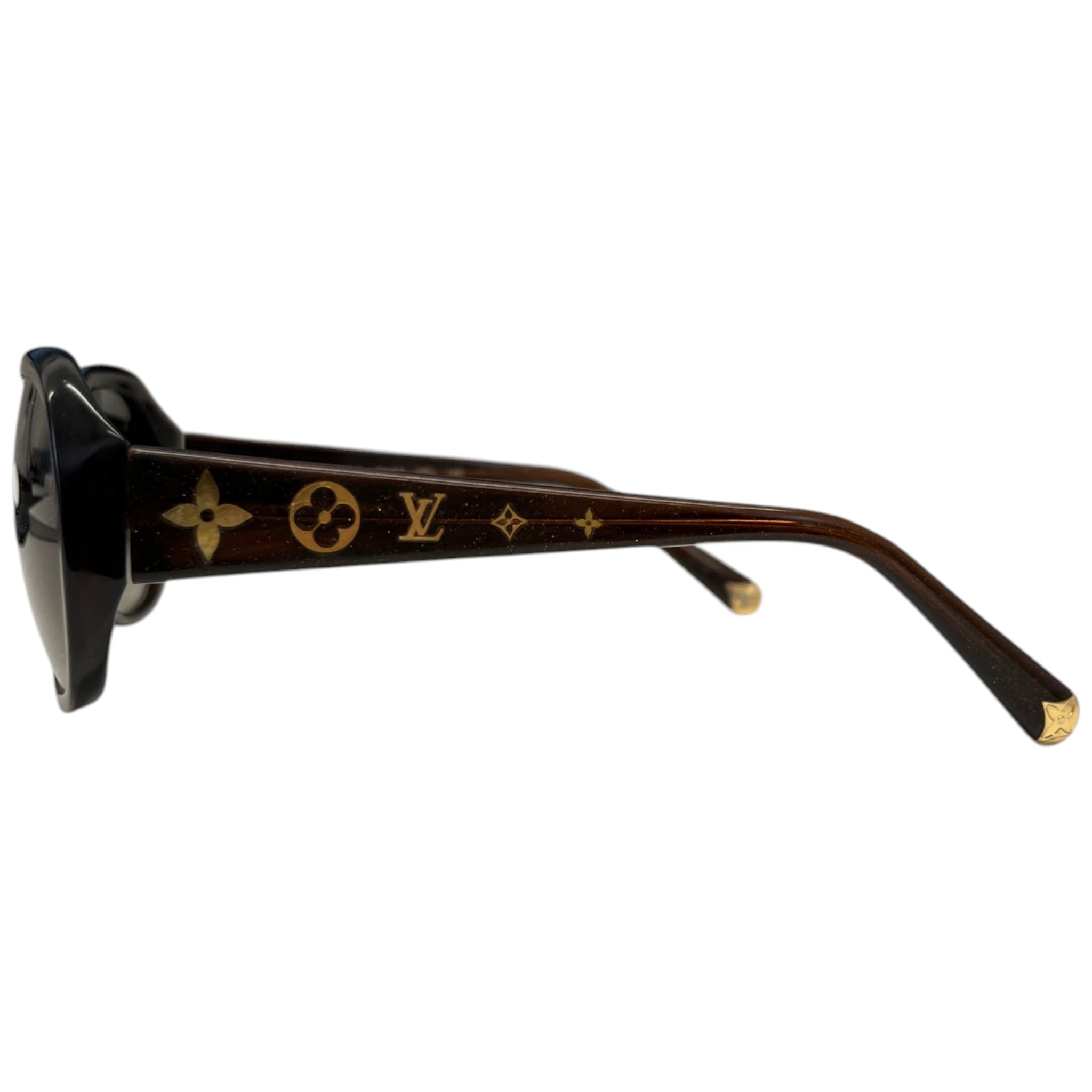 Women's Obsession Gm Sunglasses Brown