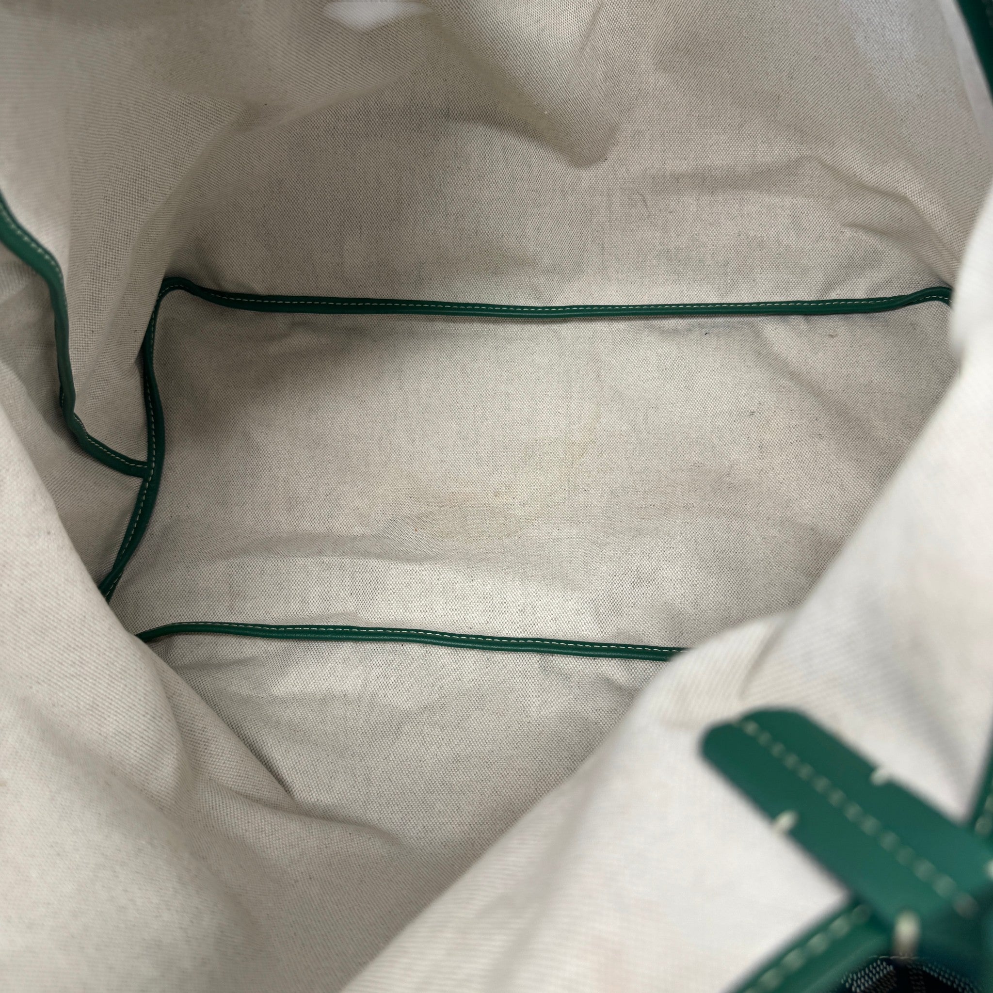 Women's Saint Louis Pm Tote Bag Green