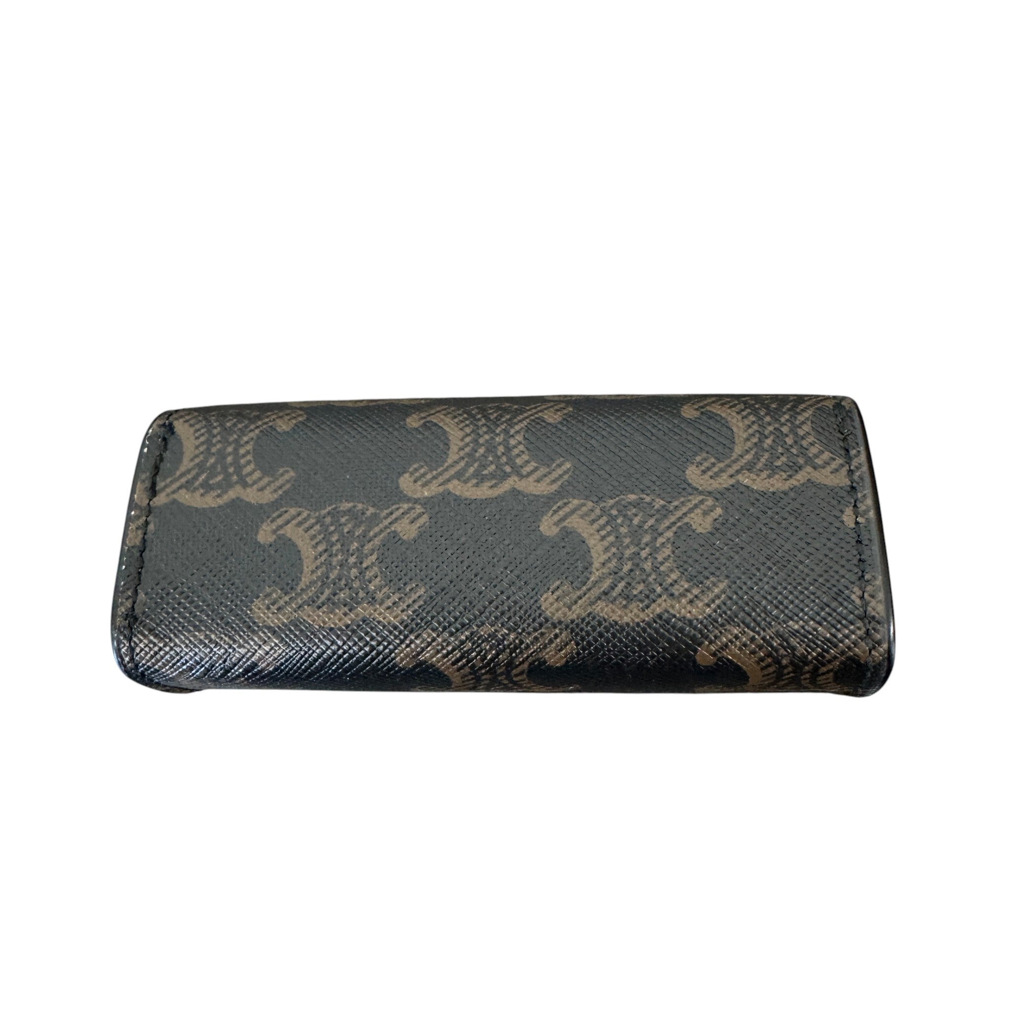 Women's Triomphe Canvas Ring Case Watch Case Brown