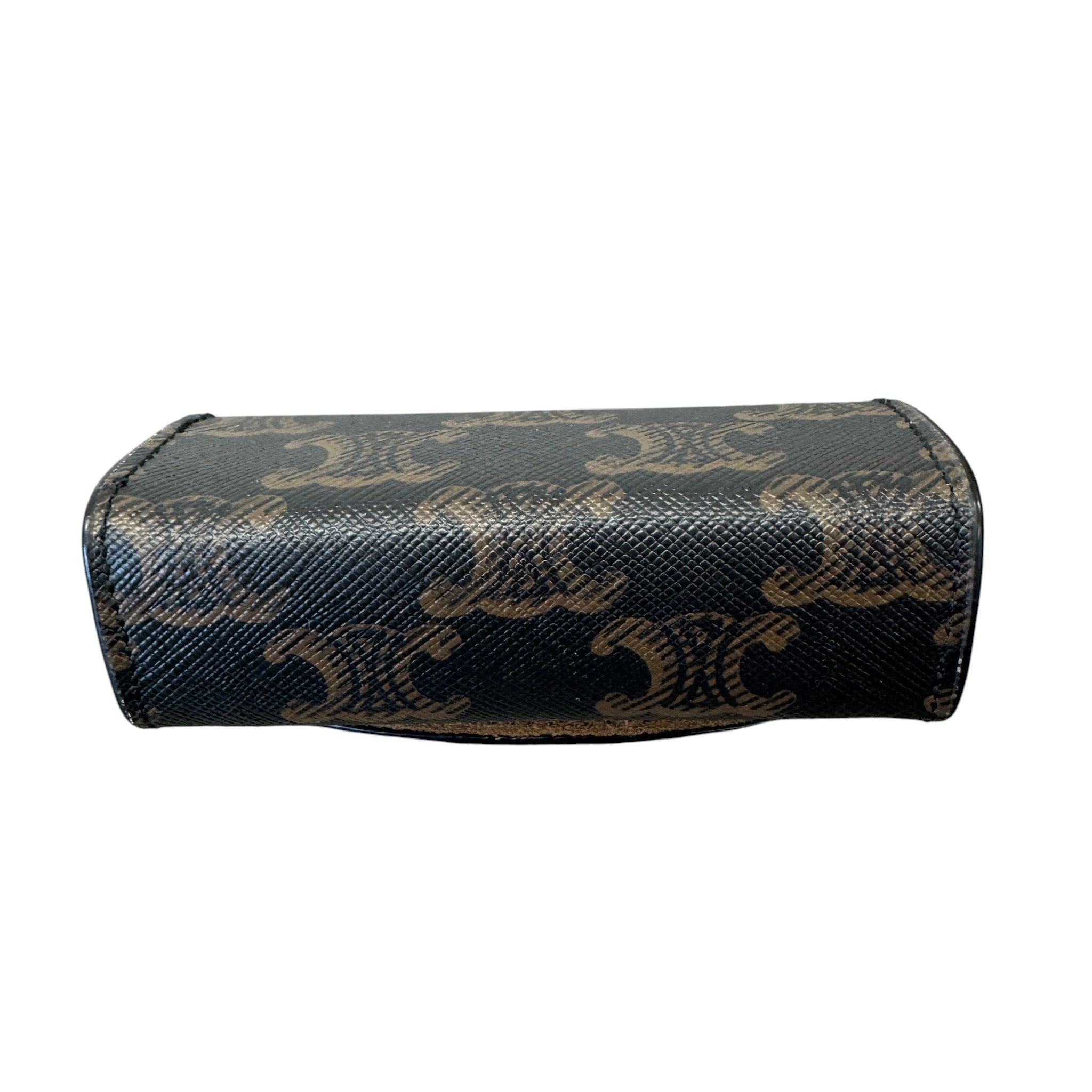 Women's Triomphe Canvas Ring Case Watch Case Brown