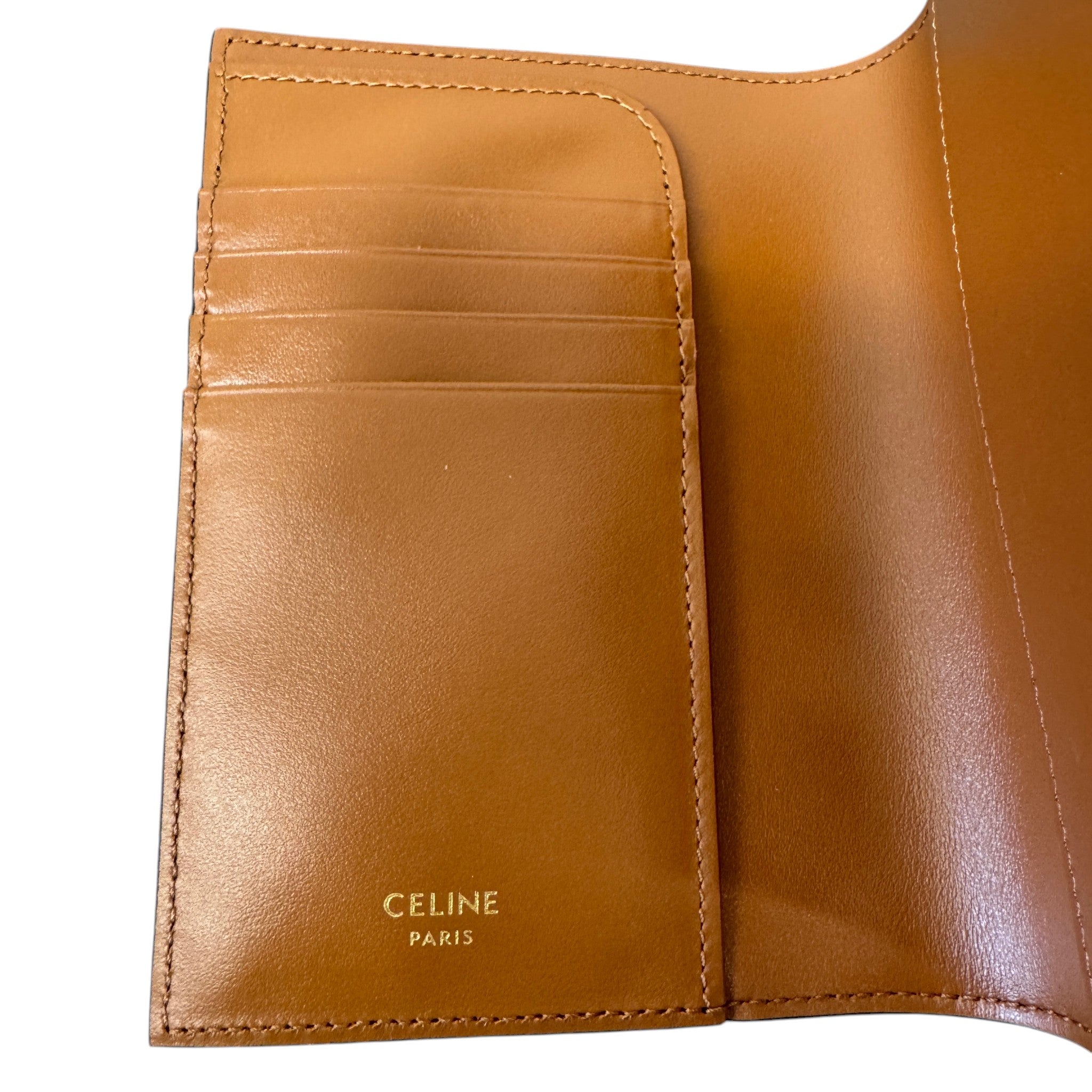 Women's Triomphe Canvas Passport Holder Brown