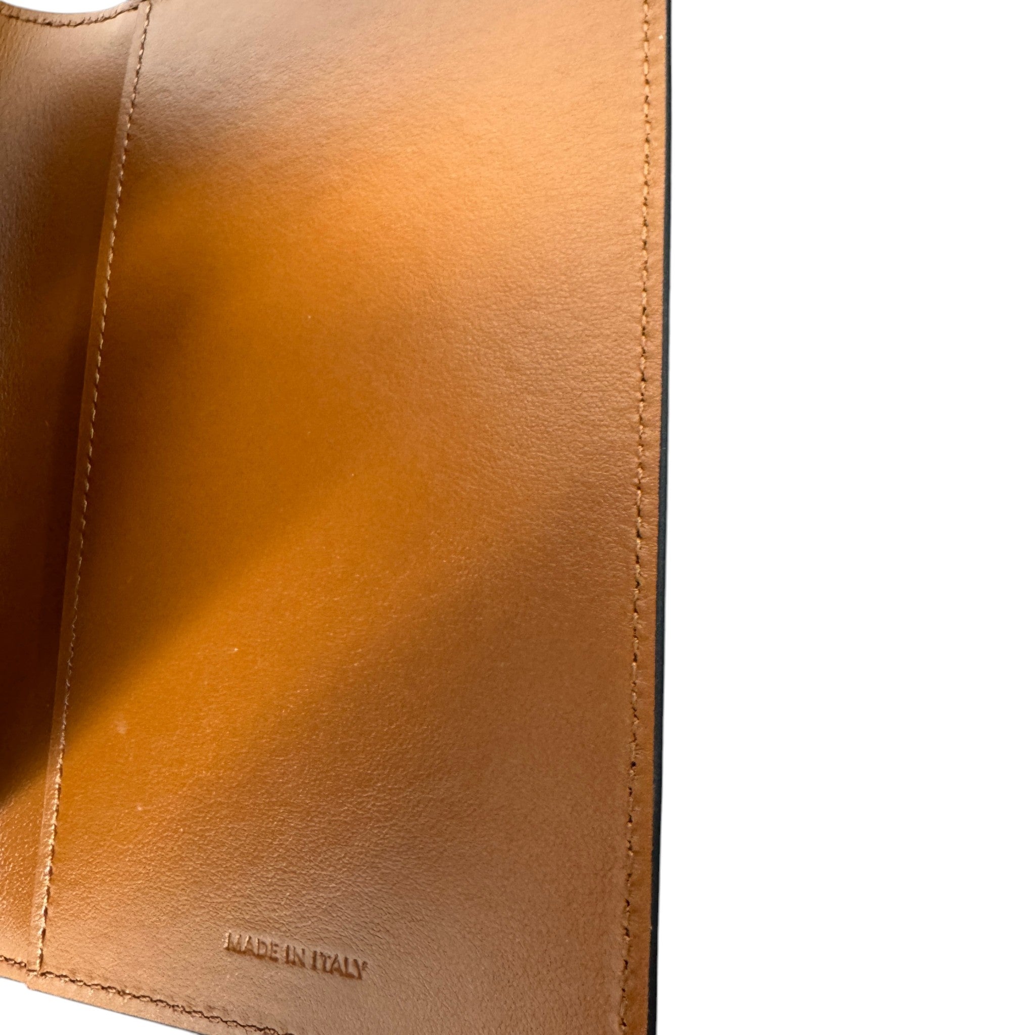 Women's Triomphe Canvas Passport Holder Brown
