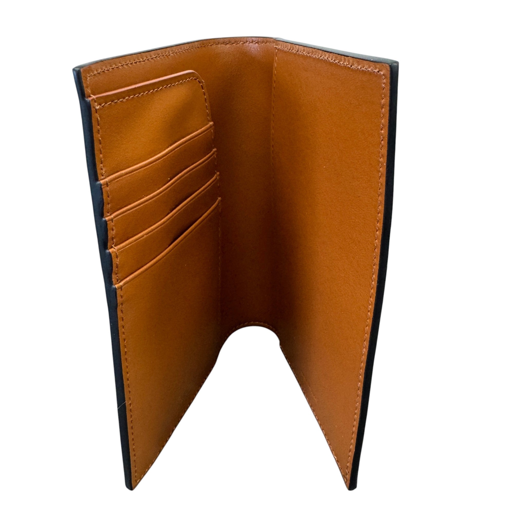 Women's Triomphe Canvas Passport Holder Brown