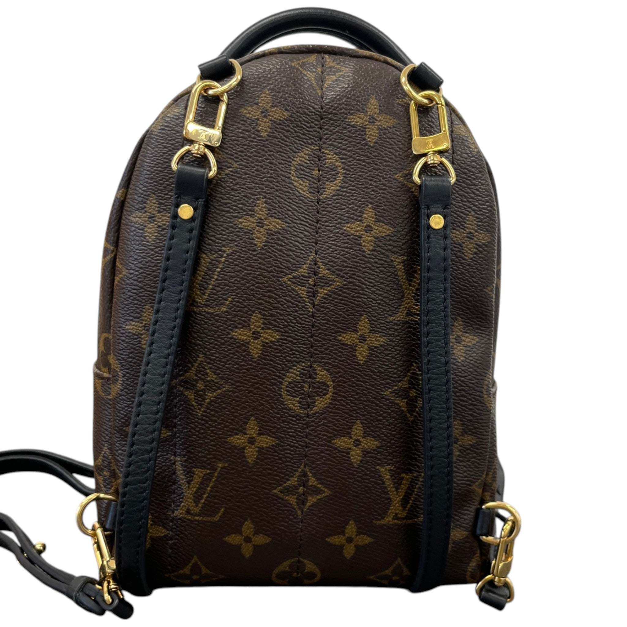 Women's Palm Springs Mini Backpack Brown