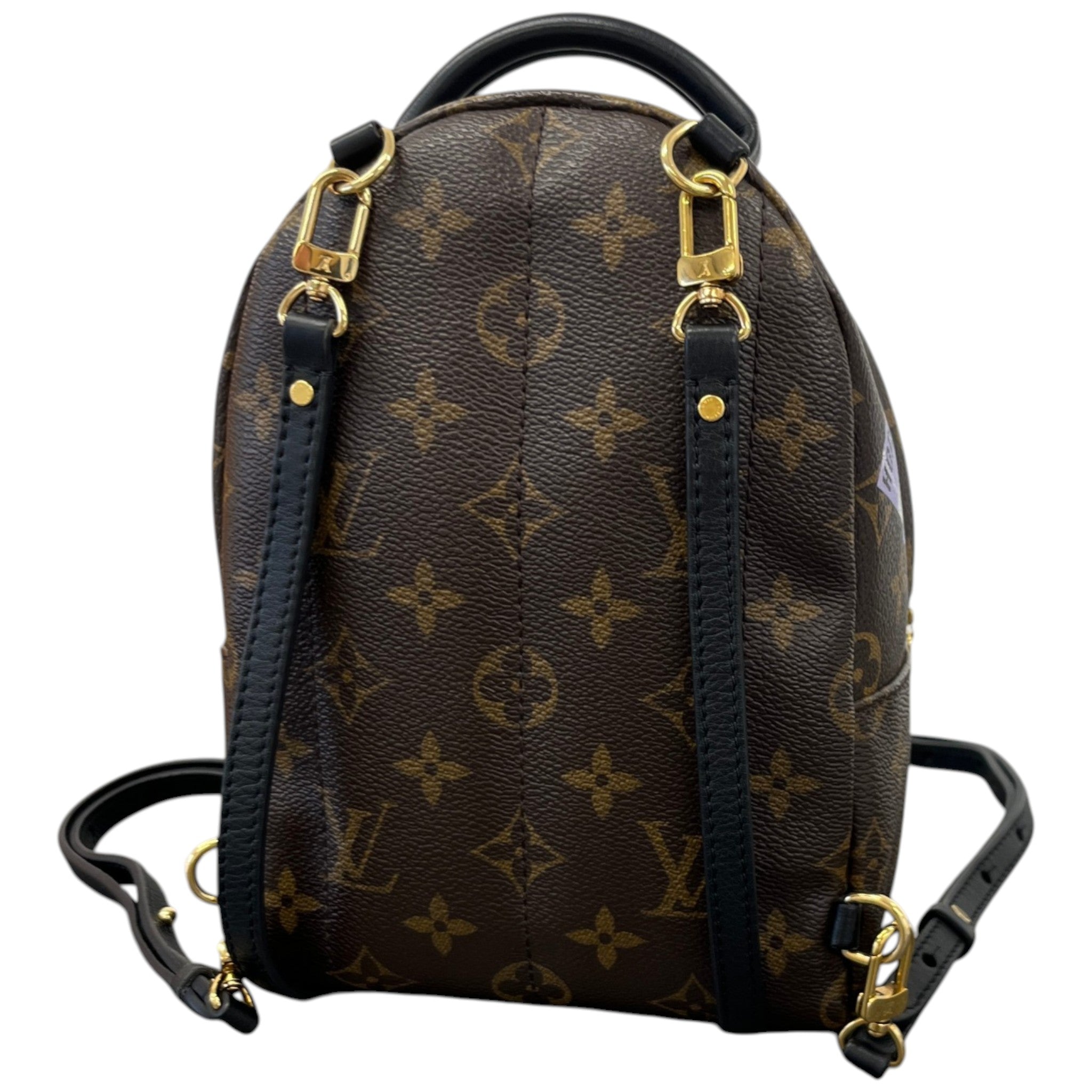 Women's Palm Springs Mini Backpack Brown