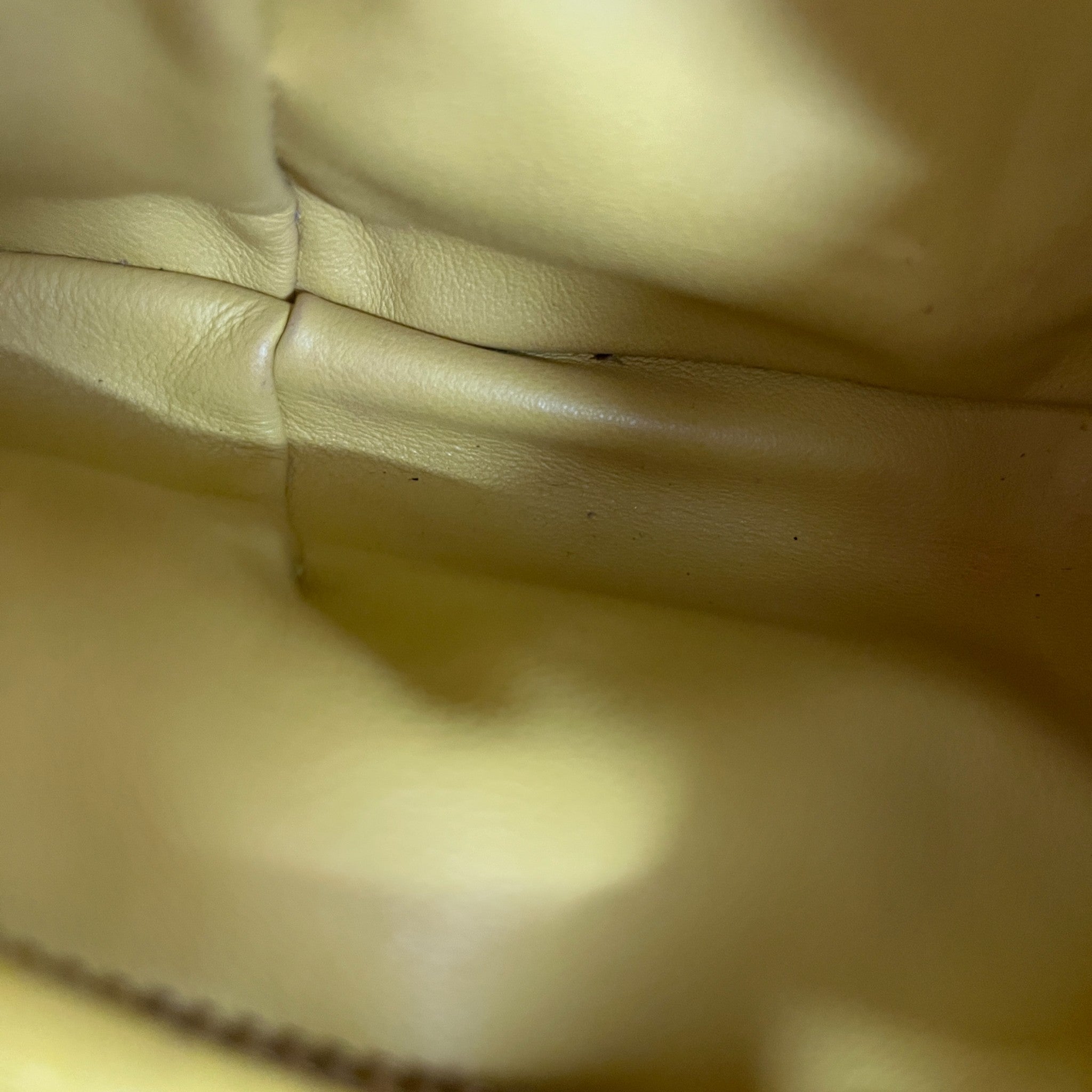 Women's Mini Jodie Handbag Yellow