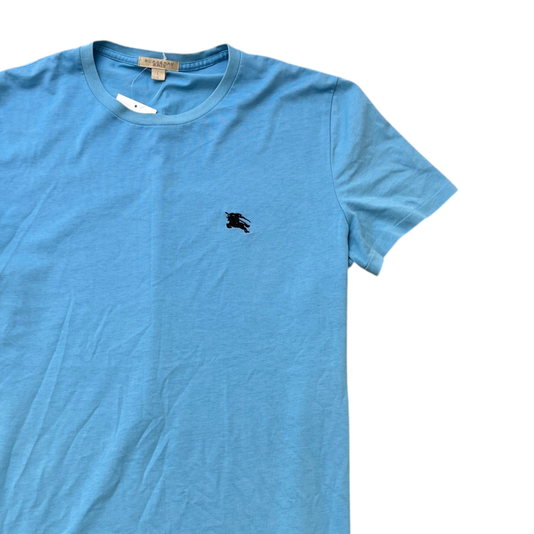 Men's Embroidered Logo T-Shirt Blue Size L