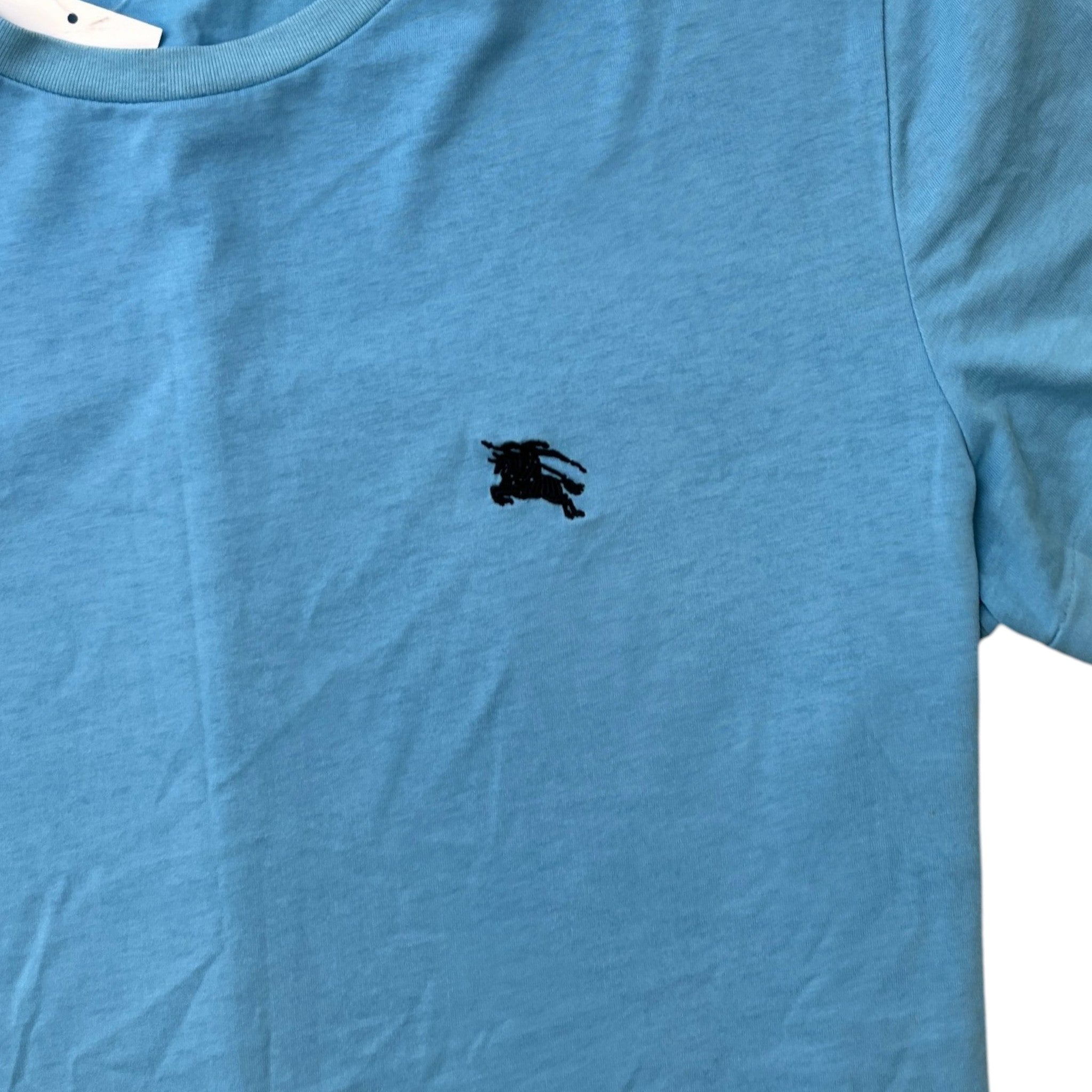 Men's Embroidered Logo T-Shirt Blue Size L
