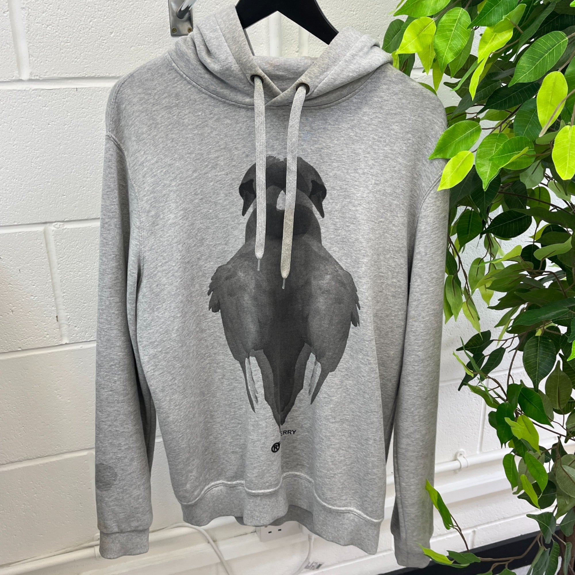 Men's Double Swan Hoodie Grey Size S