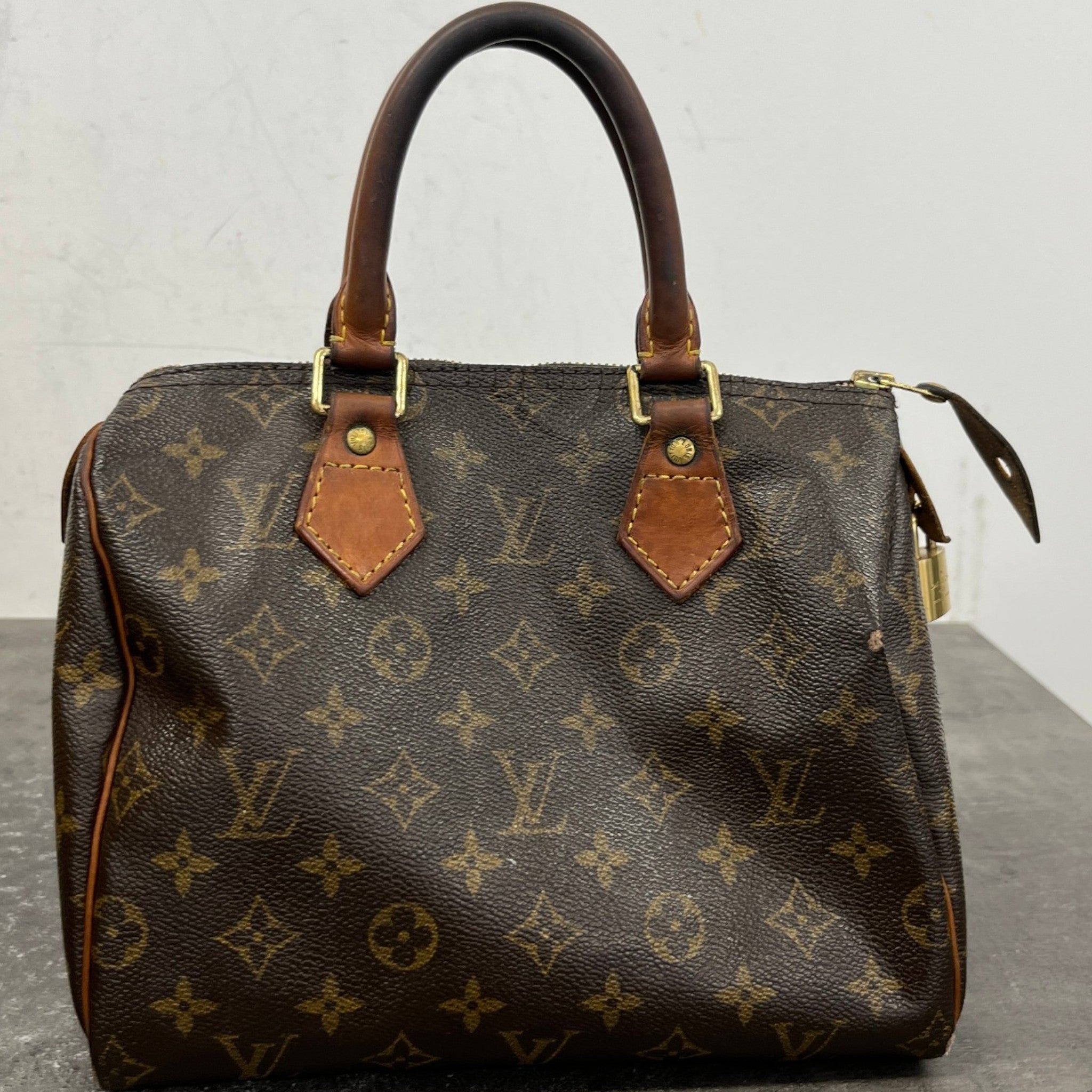 Women's Monogram Speedy 25 Handbag Brown