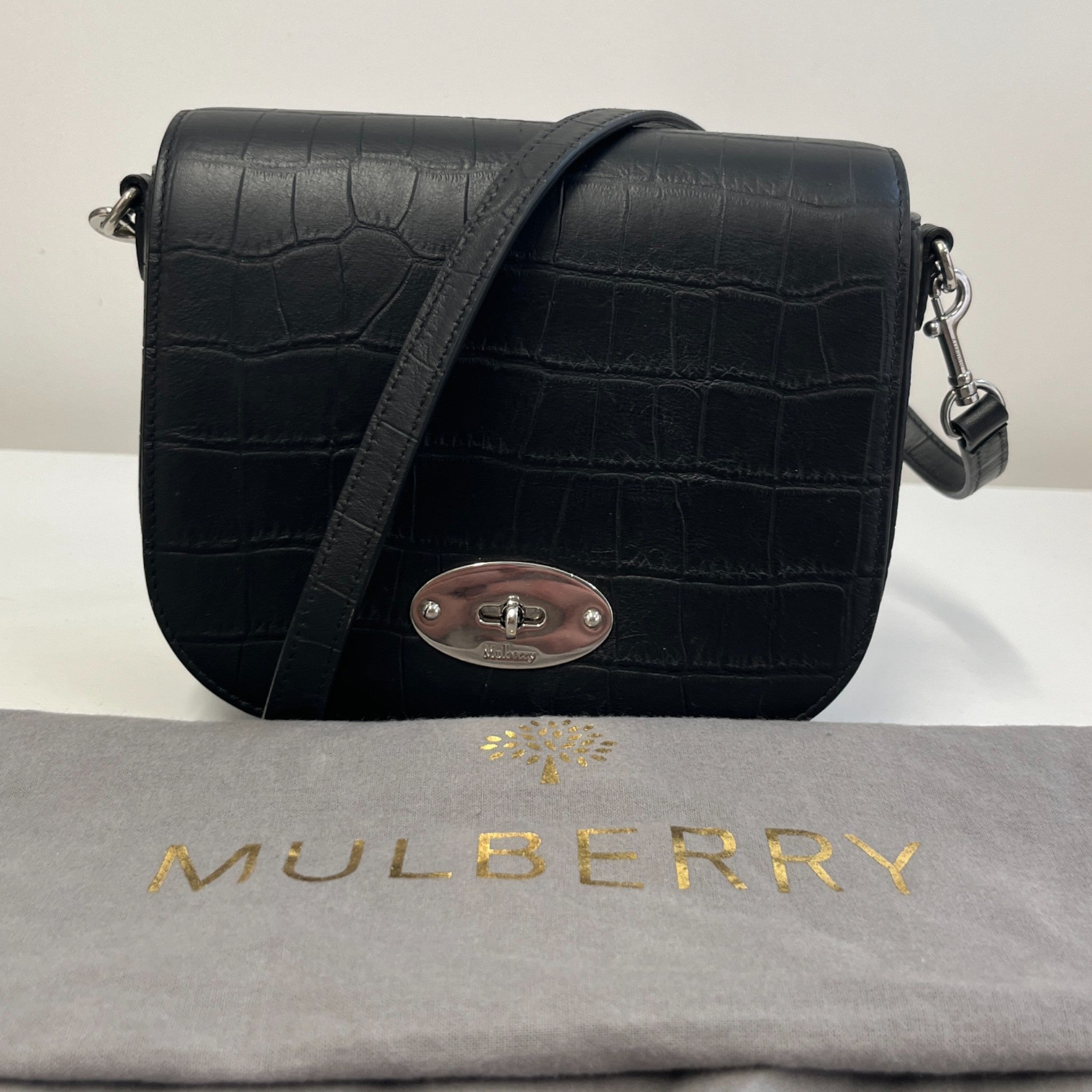 Men's Small Darley Croc Bag Black