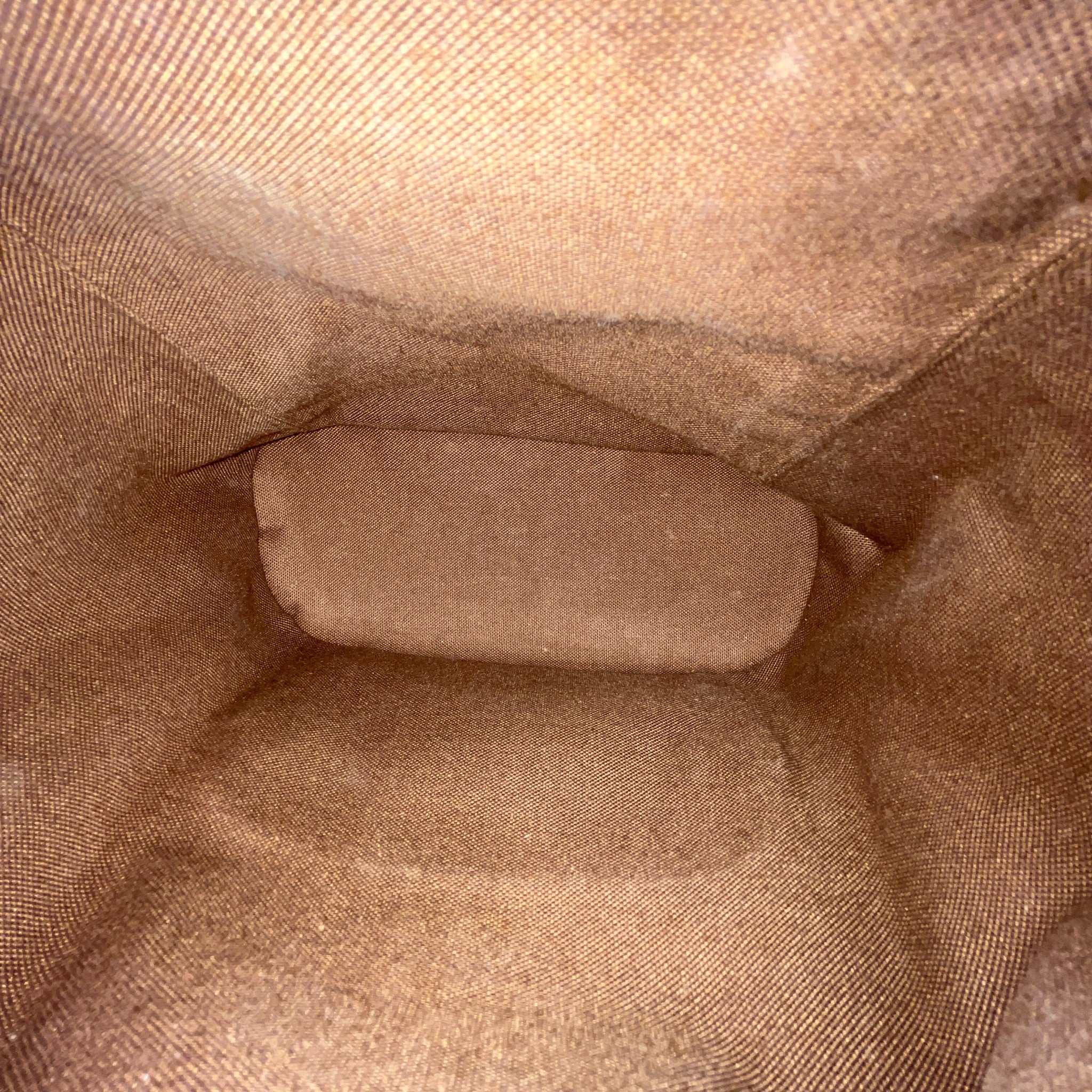 Women's Monogram Montsouris Mini Bag Brown