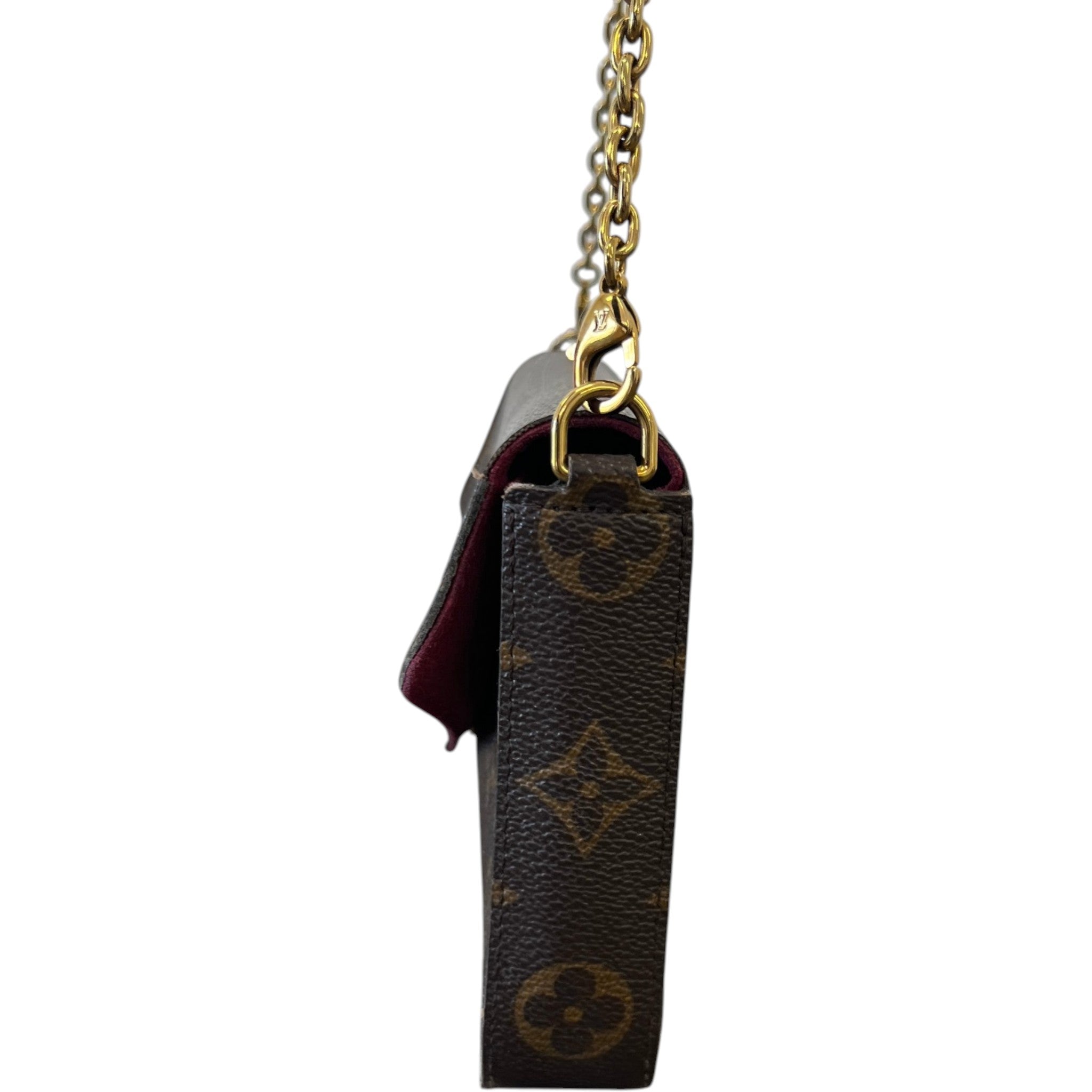 Women's Monogram Félicie Pochette Bag Brown