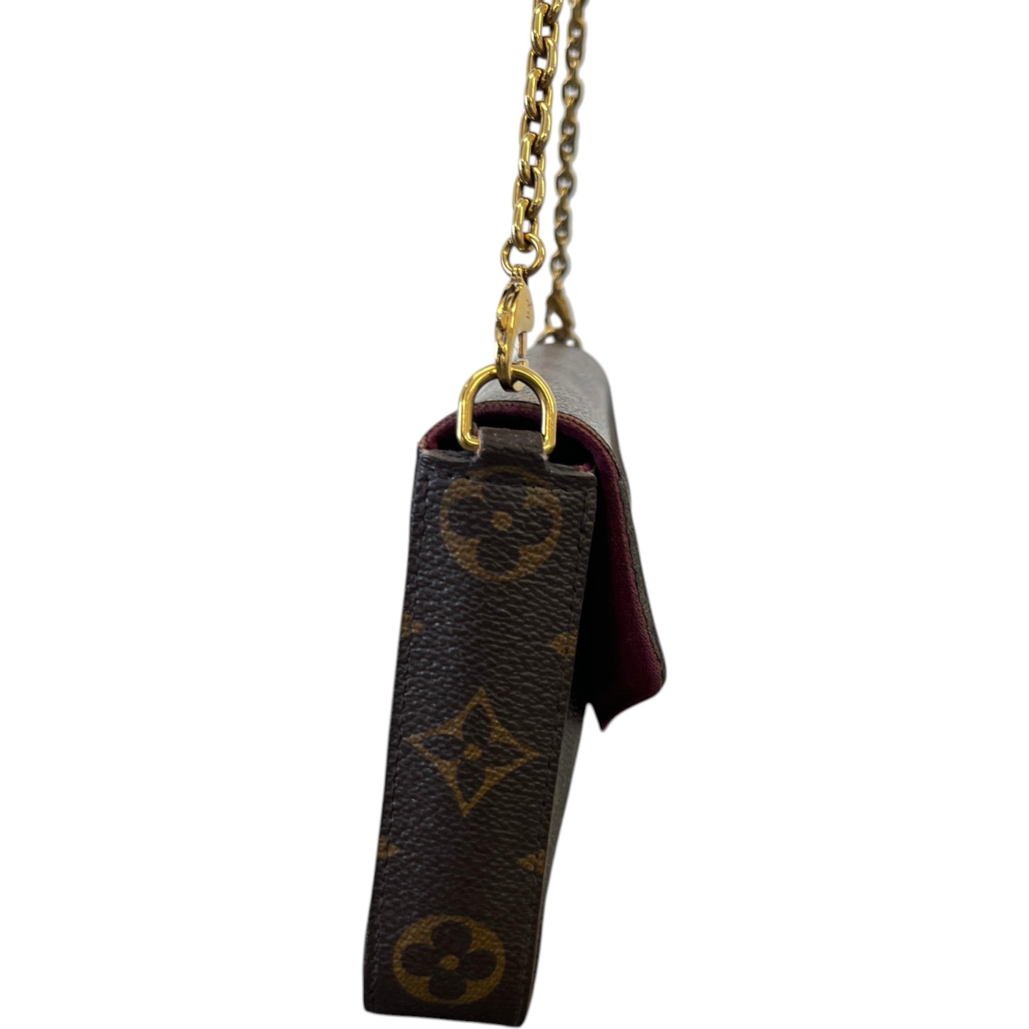 Women's Monogram Félicie Pochette Bag Brown