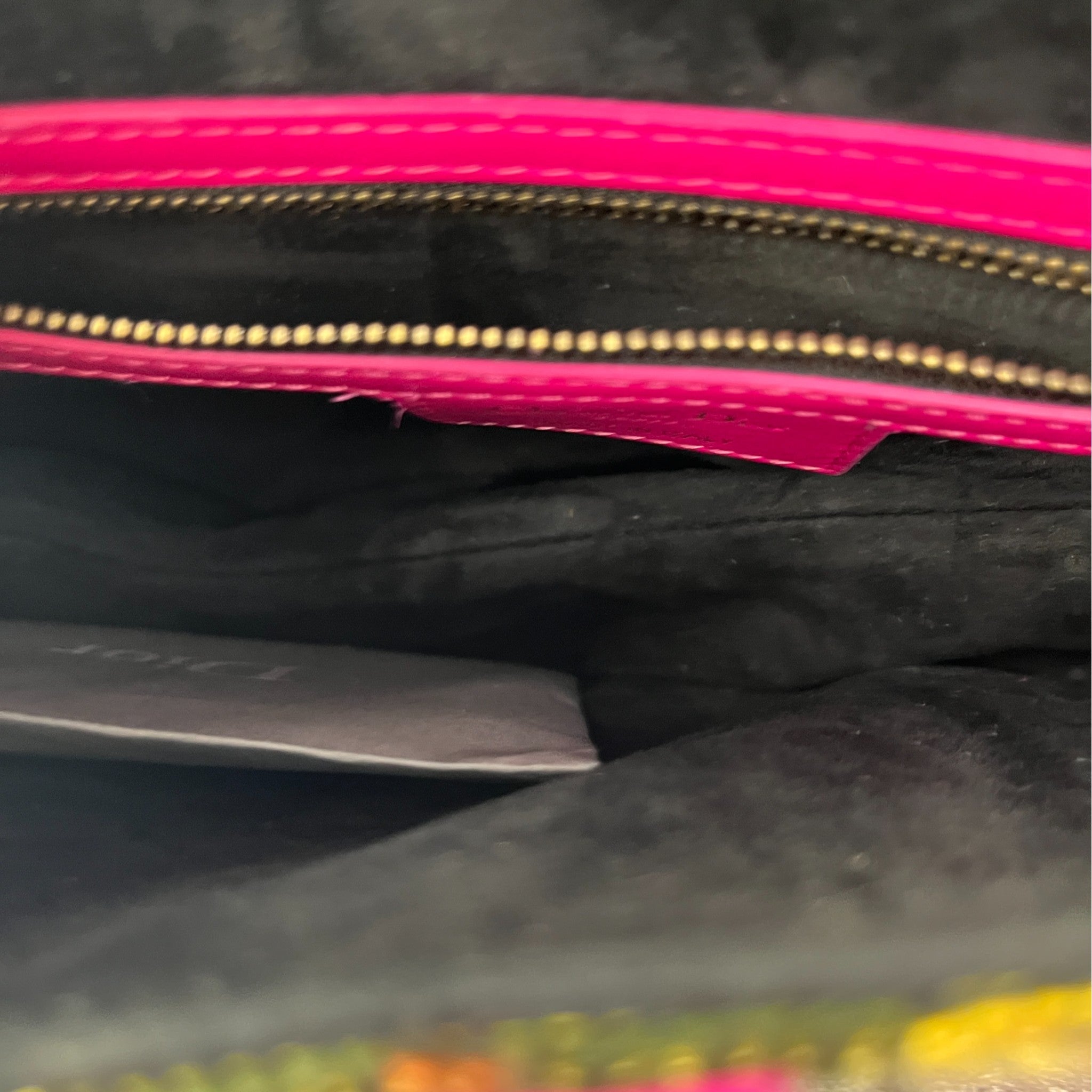 Women's Limited Edition Embroidered Saddle Bag Pink